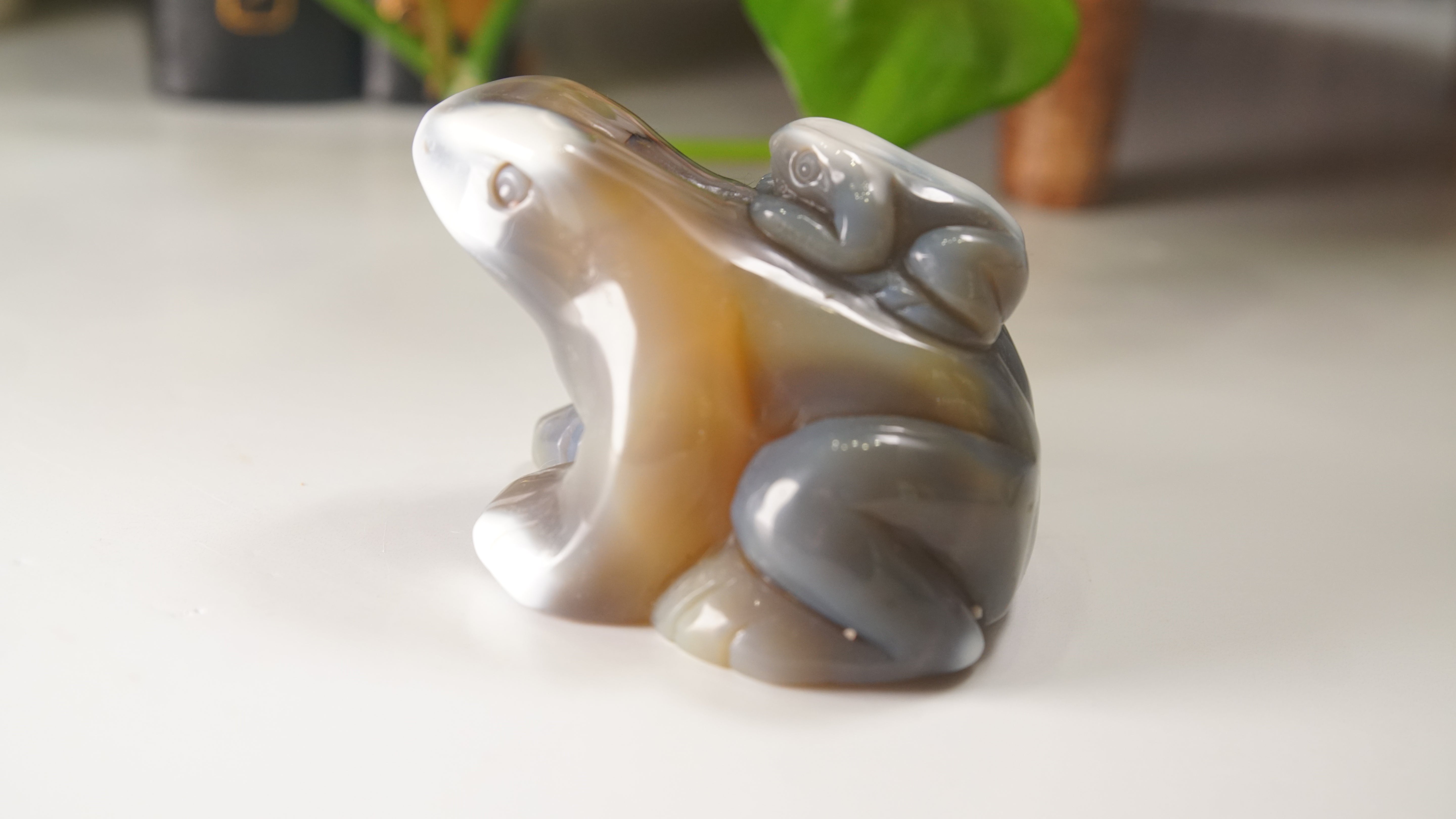 Orca Agate Frog Duo Boutique Carving