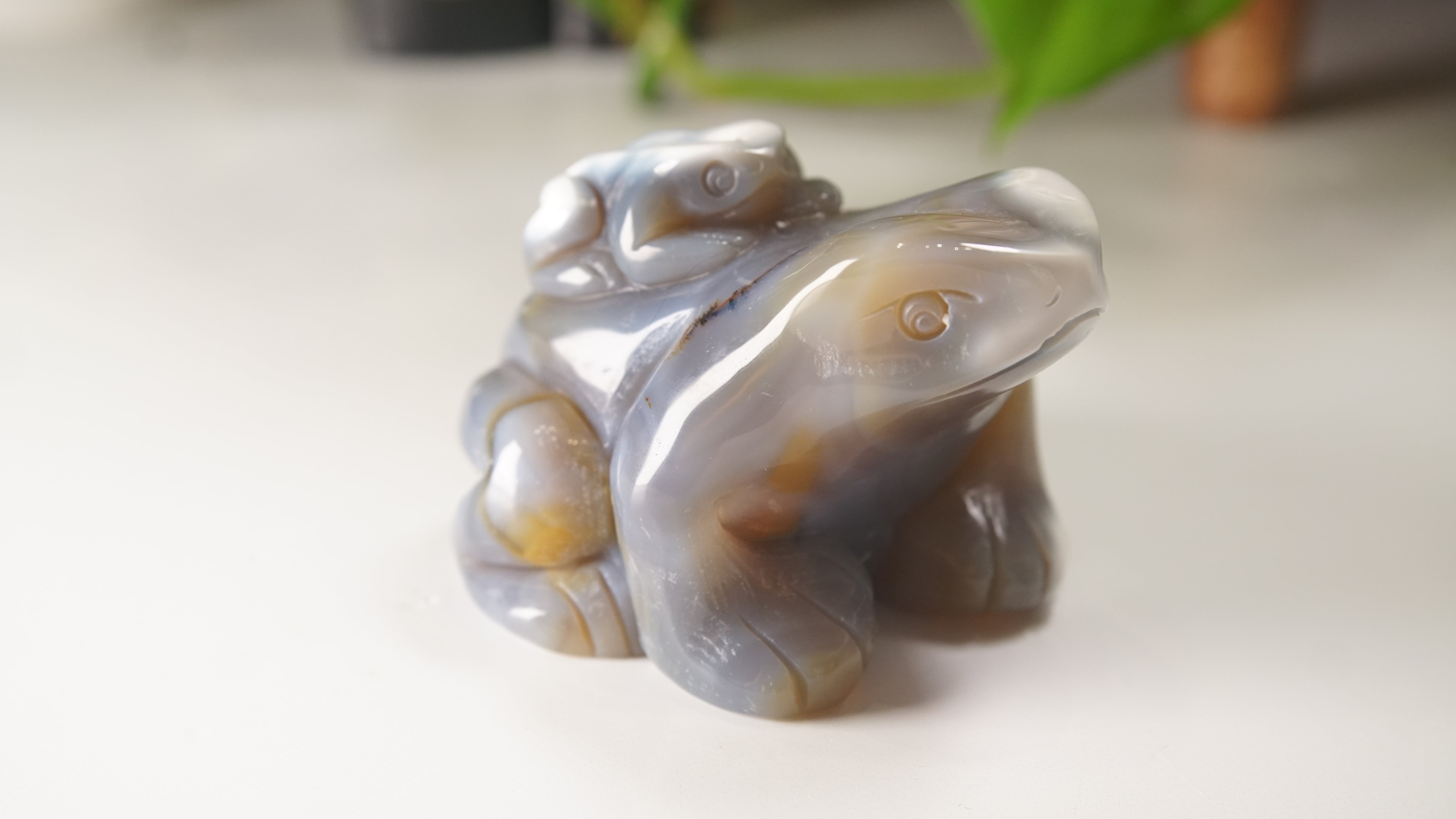 Orca Agate Frog Duo Boutique Carving
