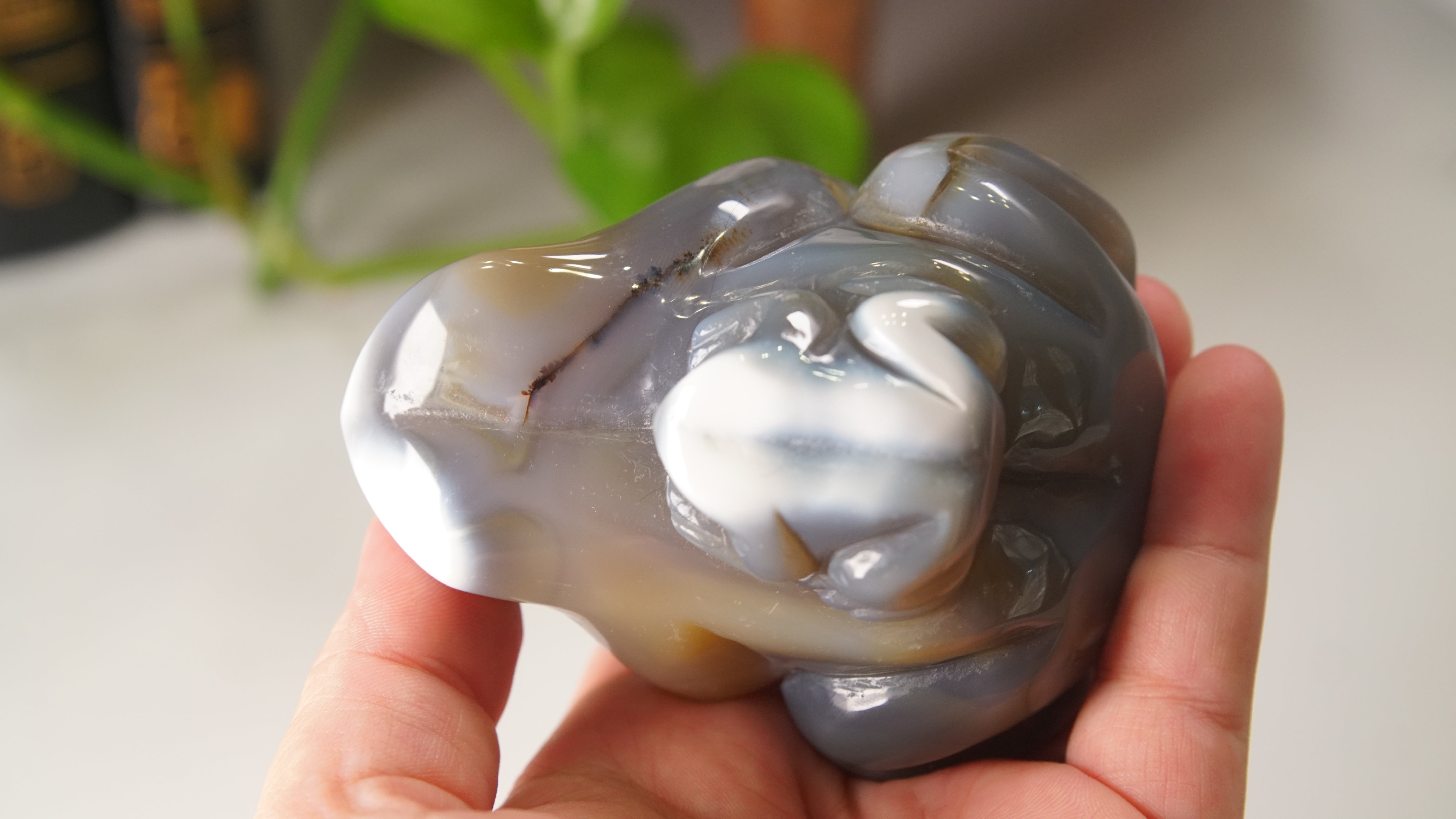 Orca Agate Frog Duo Boutique Carving