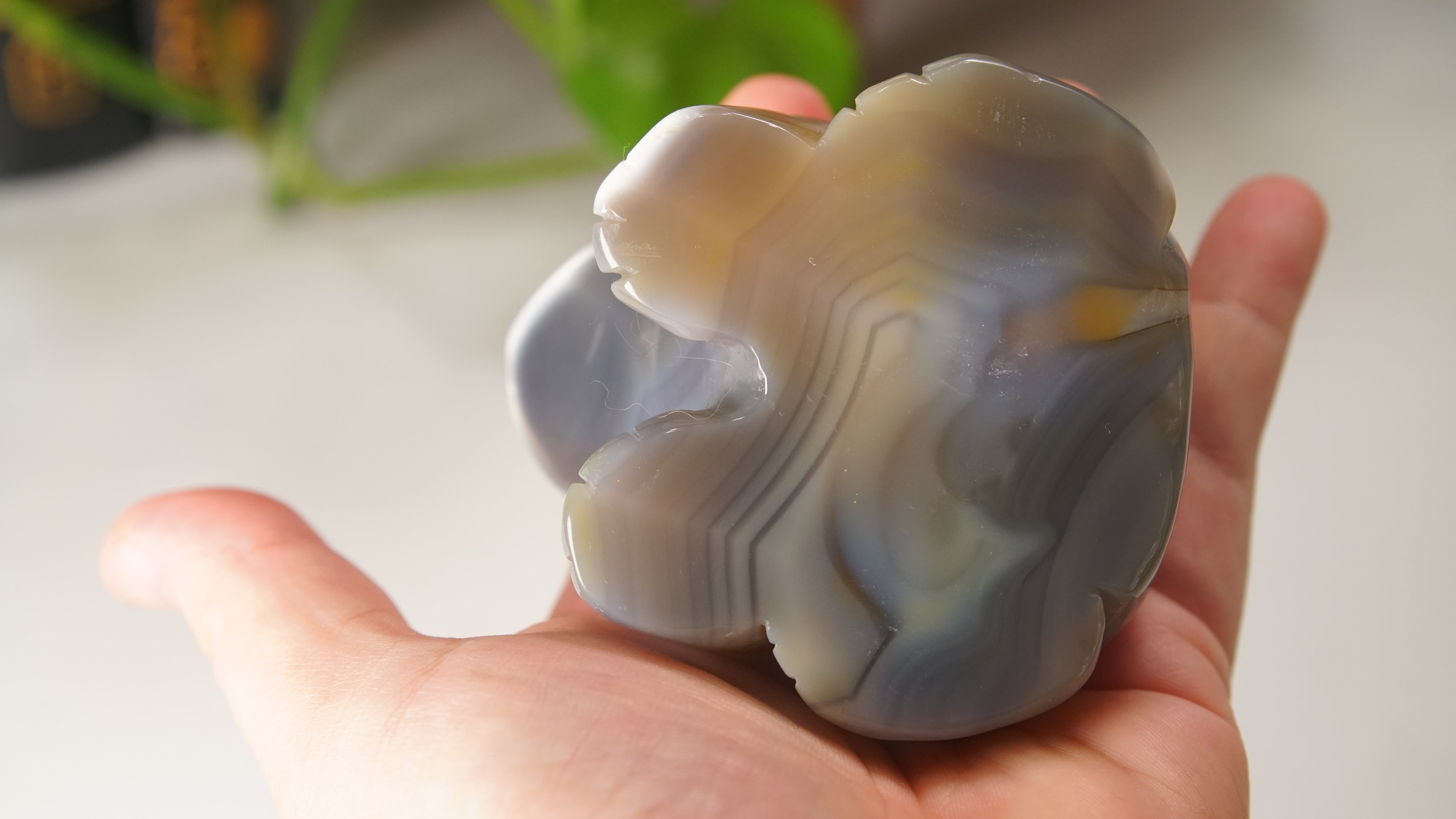 Orca Agate Frog Duo Boutique Carving