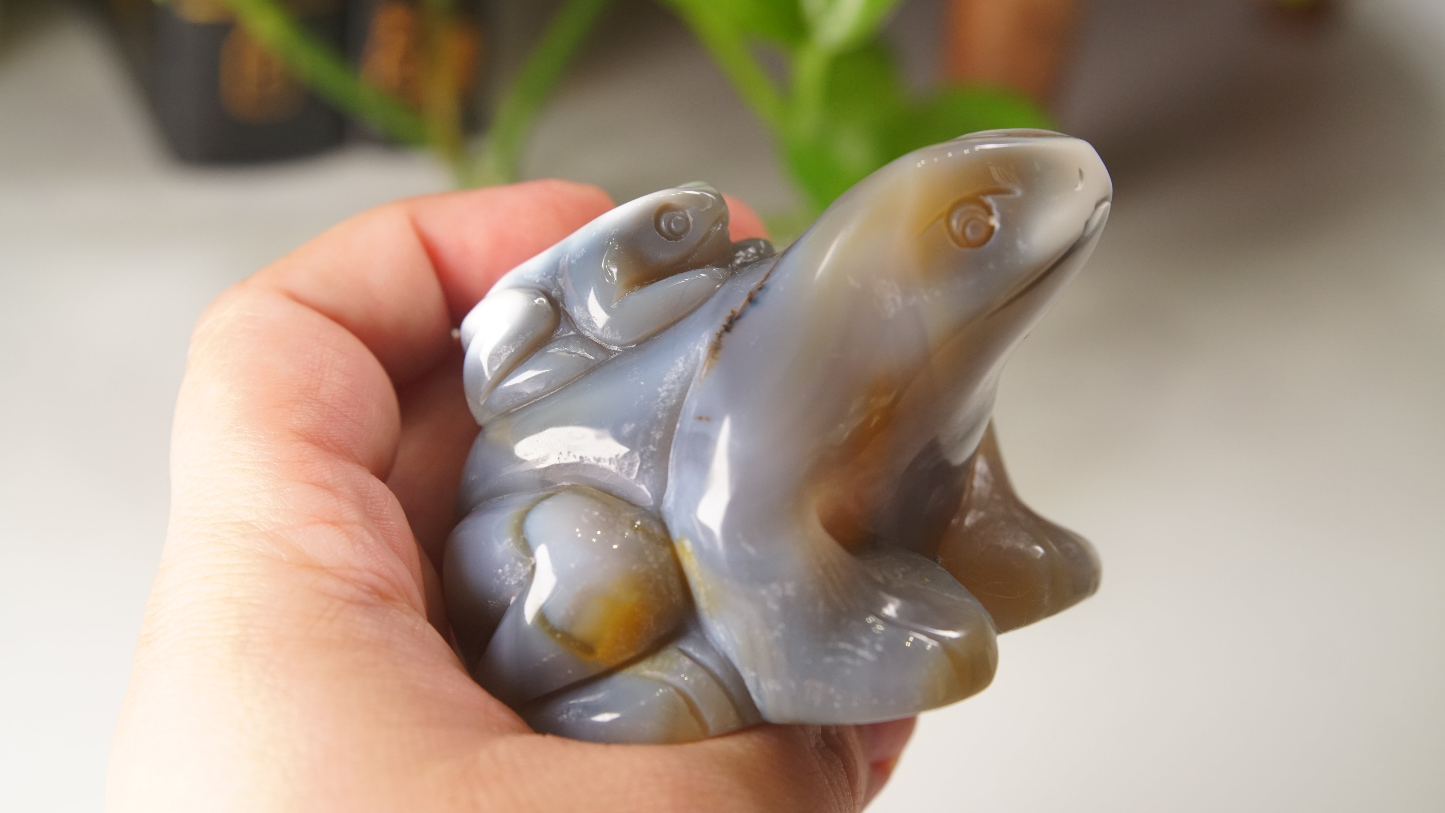 Orca Agate Frog Duo Boutique Carving