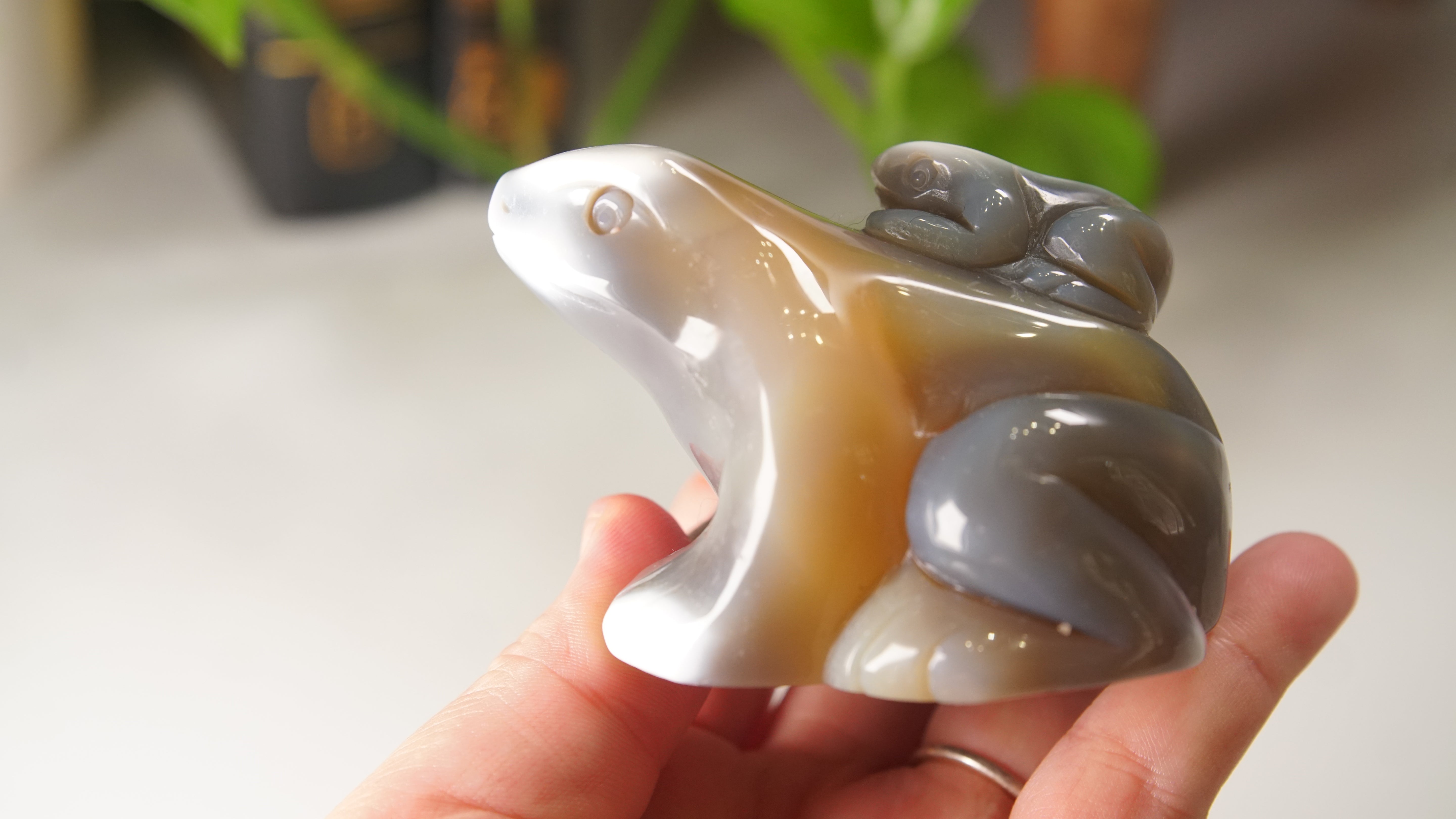 Orca Agate Frog Duo Boutique Carving