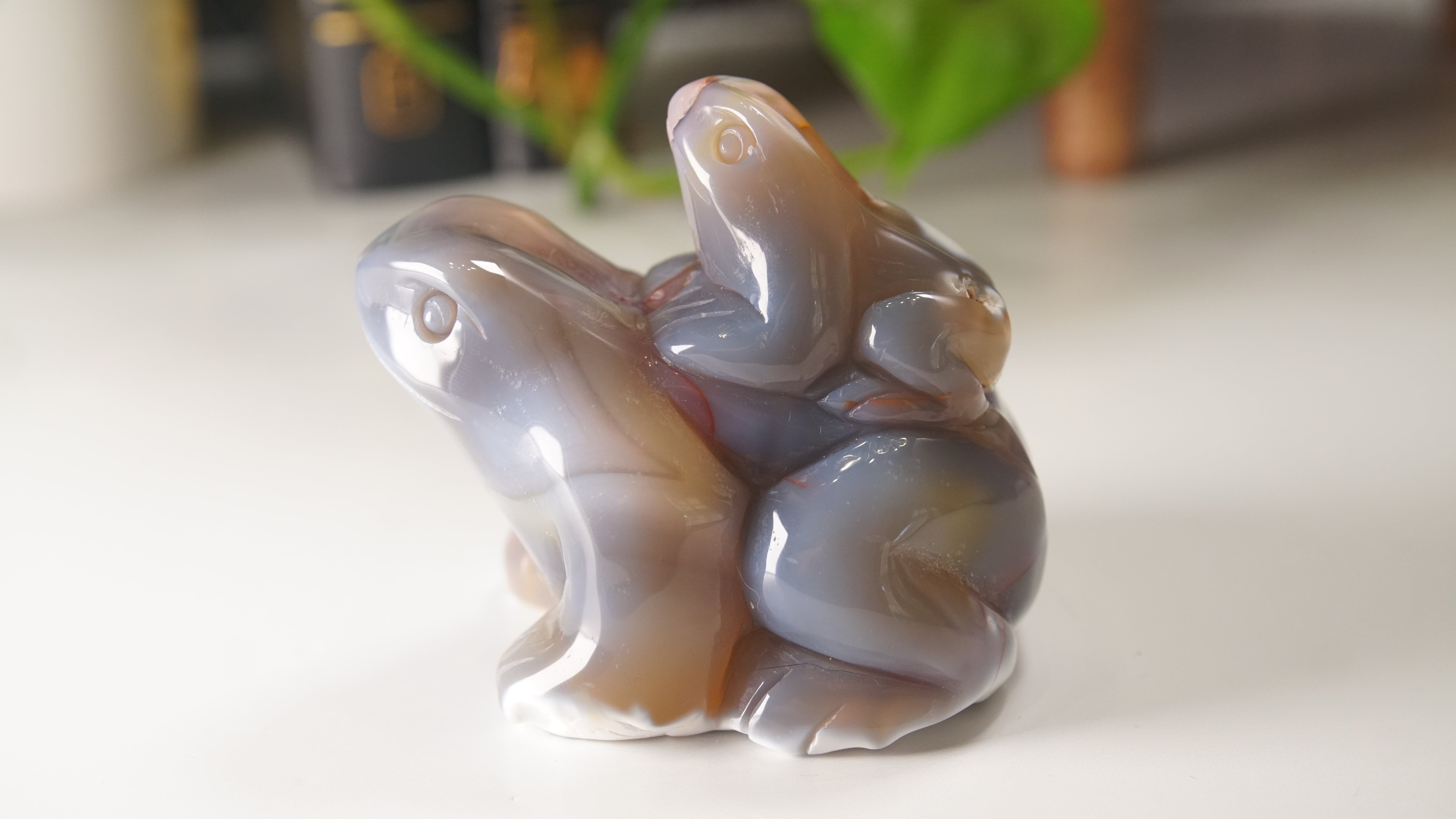 Orca Agate Frog Duo Boutique Carving