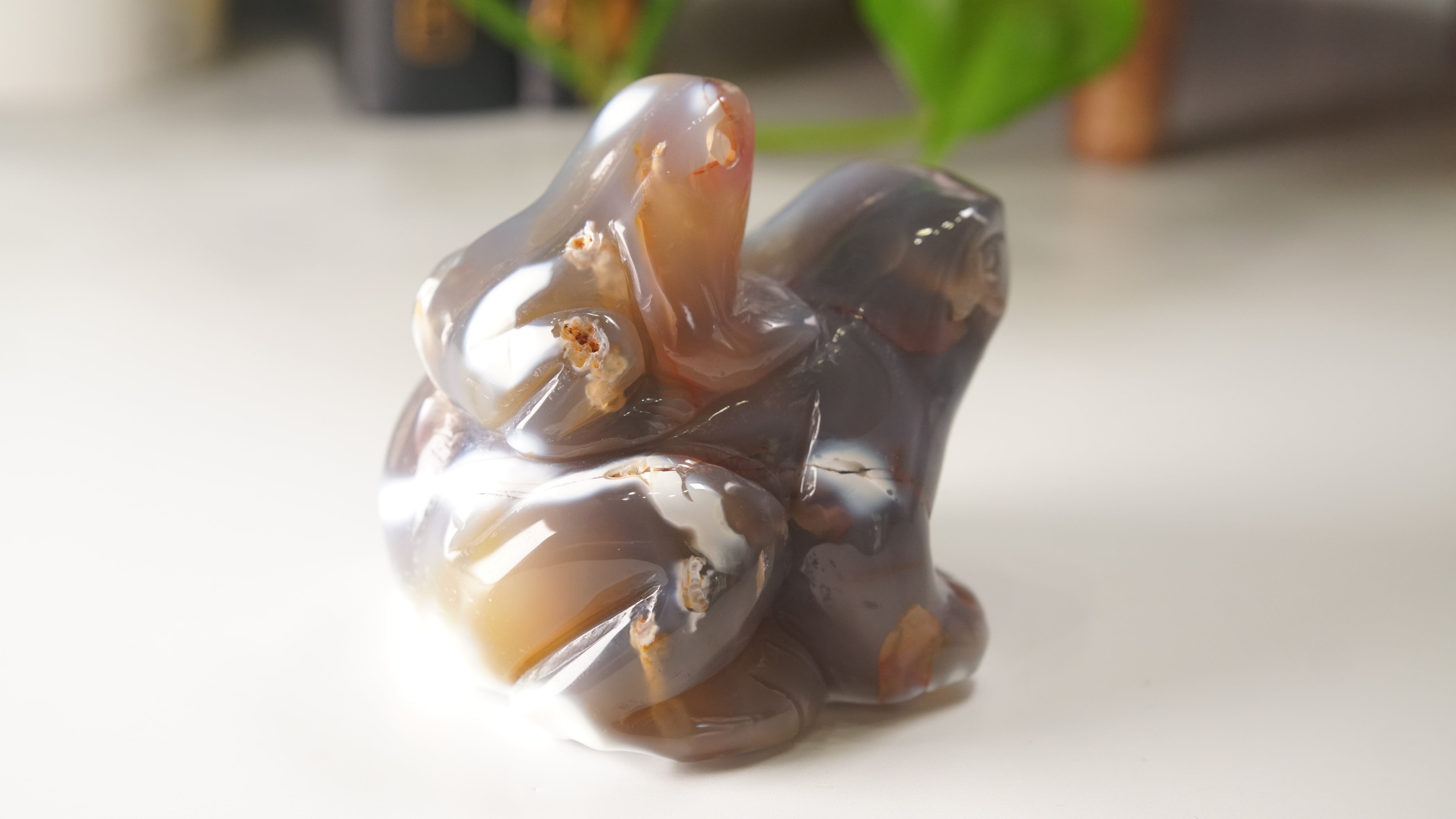 Orca Agate Frog Duo Boutique Carving