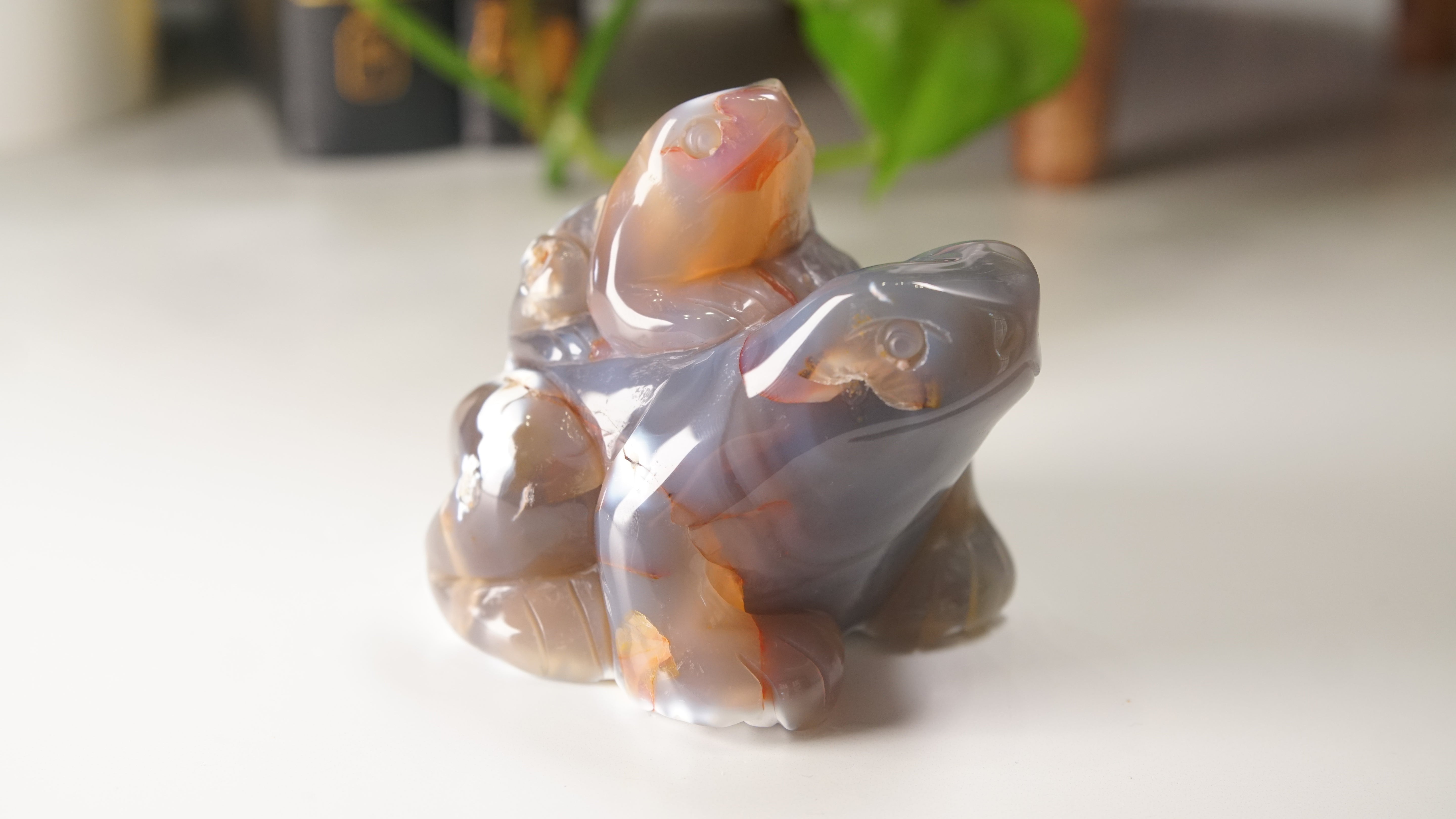 Orca Agate Frog Duo Boutique Carving