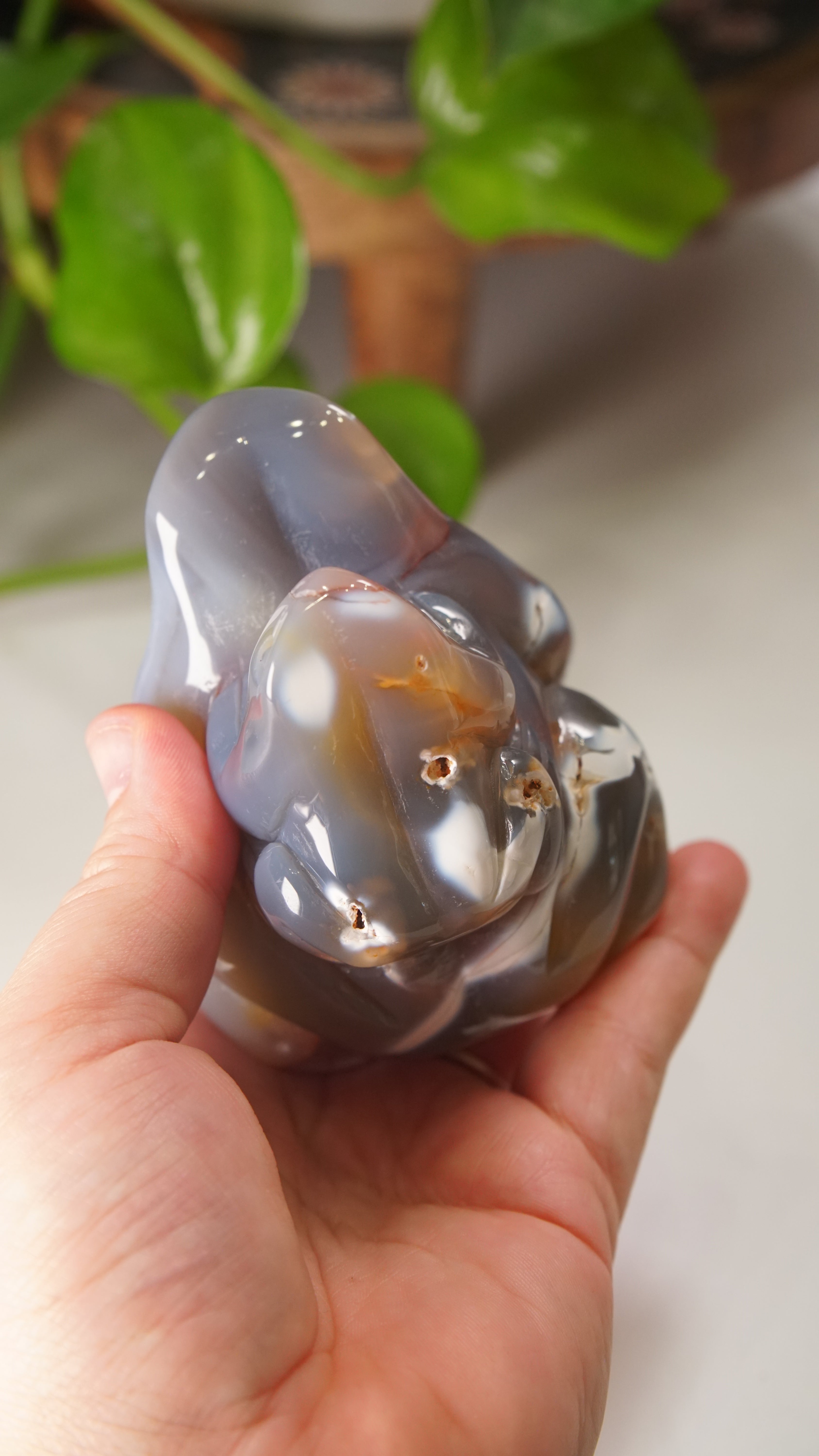 Orca Agate Frog Duo Boutique Carving