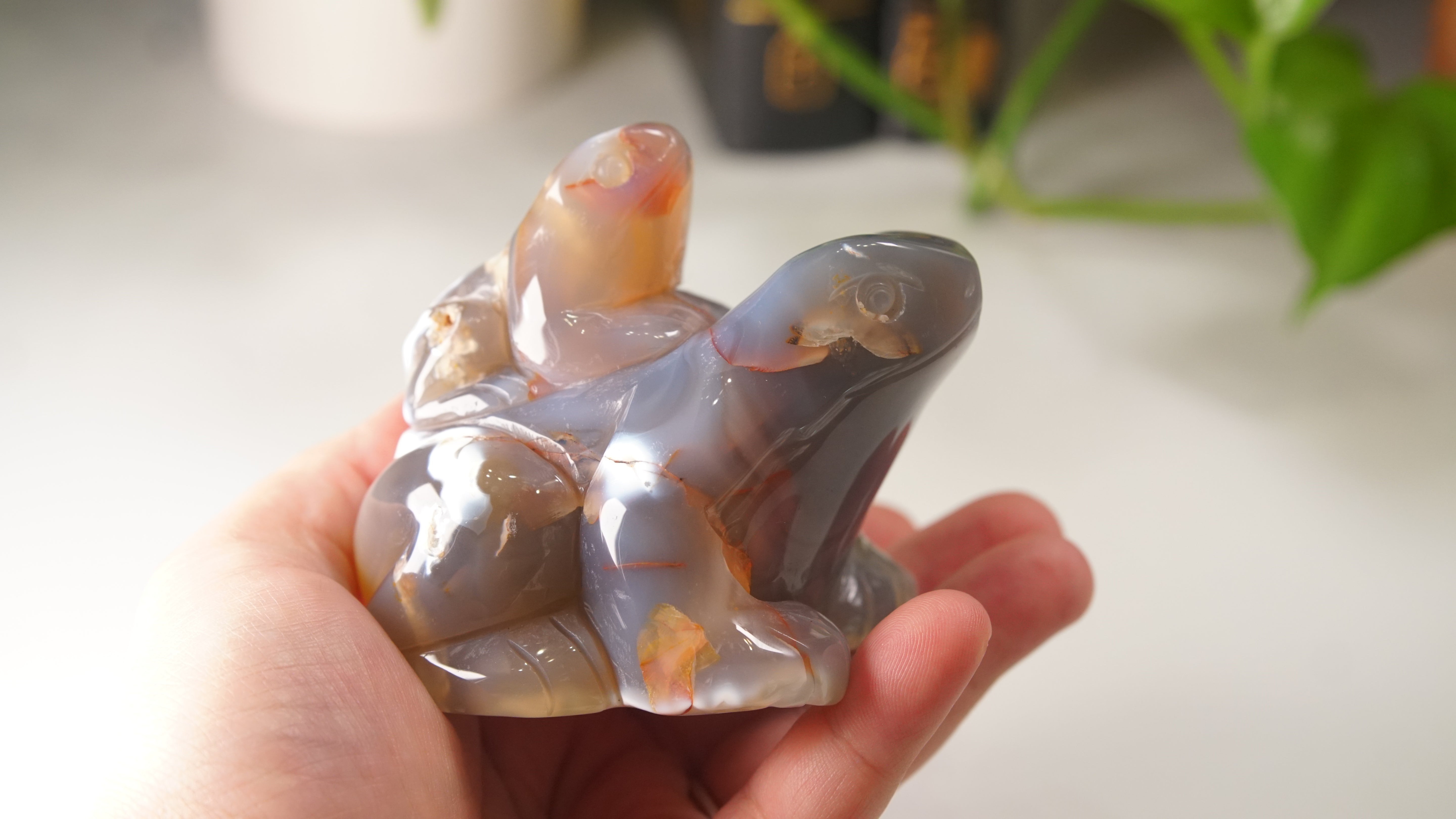 Orca Agate Frog Duo Boutique Carving