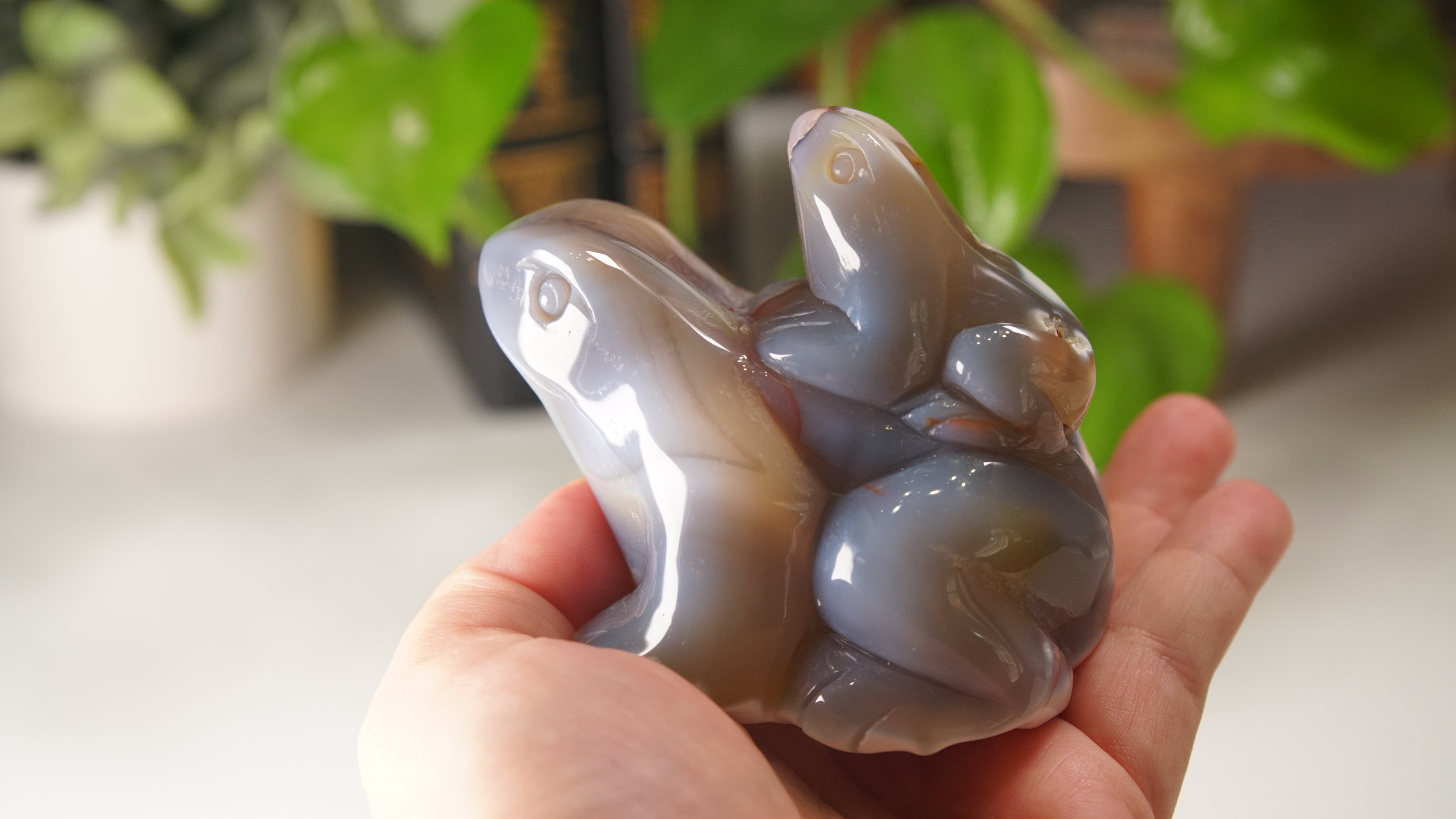 Orca Agate Frog Duo Boutique Carving