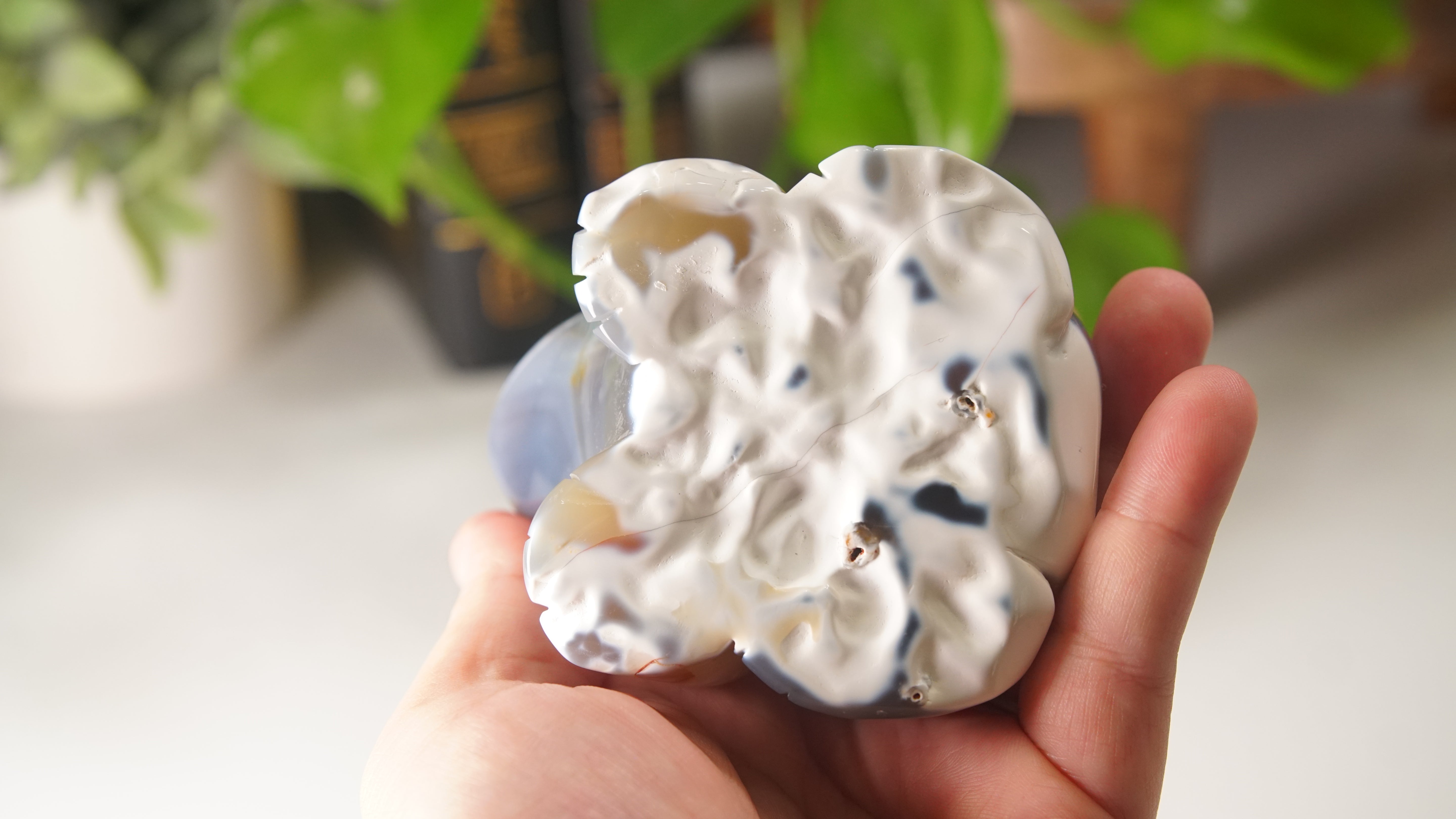 Orca Agate Frog Duo Boutique Carving