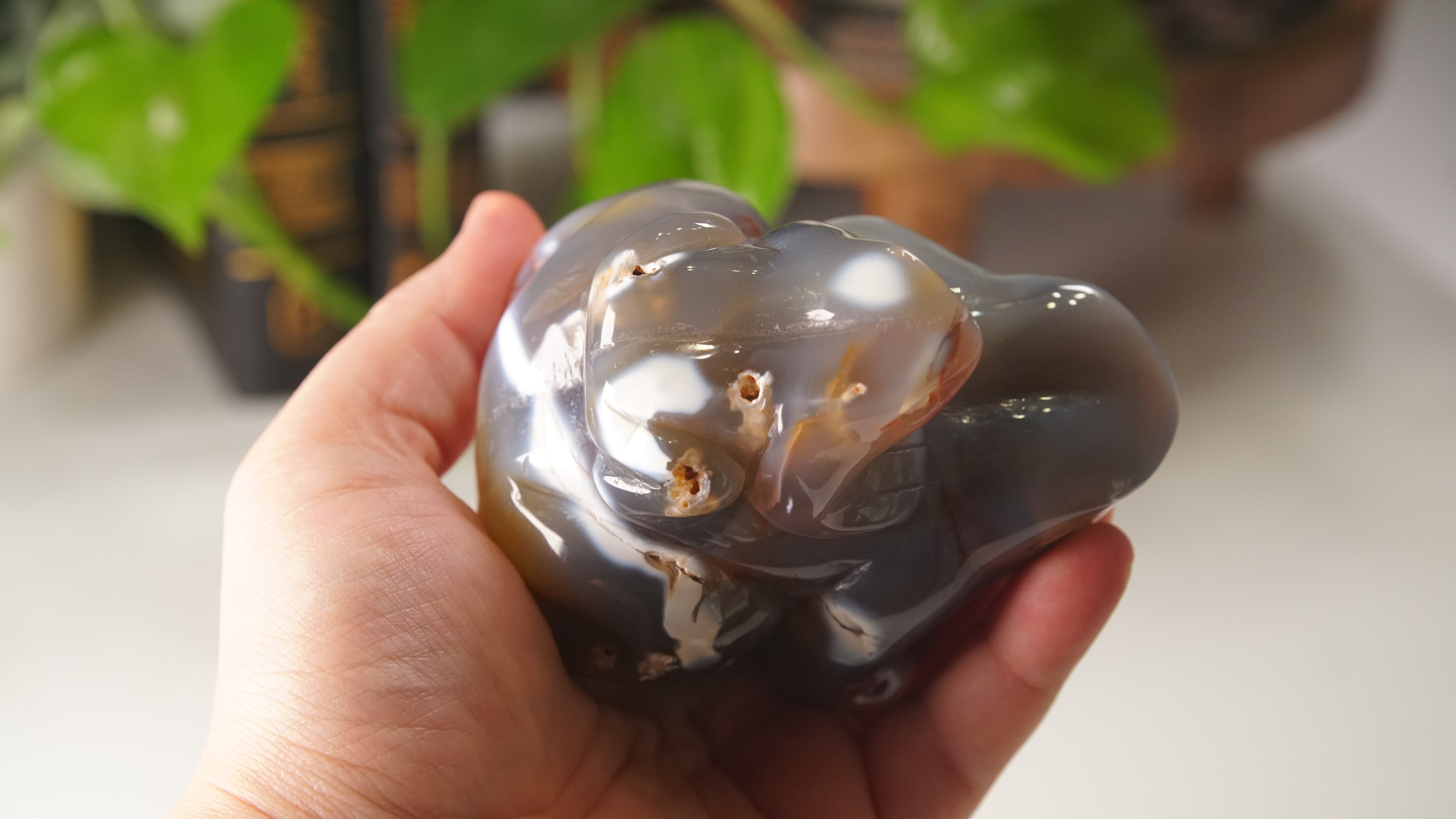 Orca Agate Frog Duo Boutique Carving