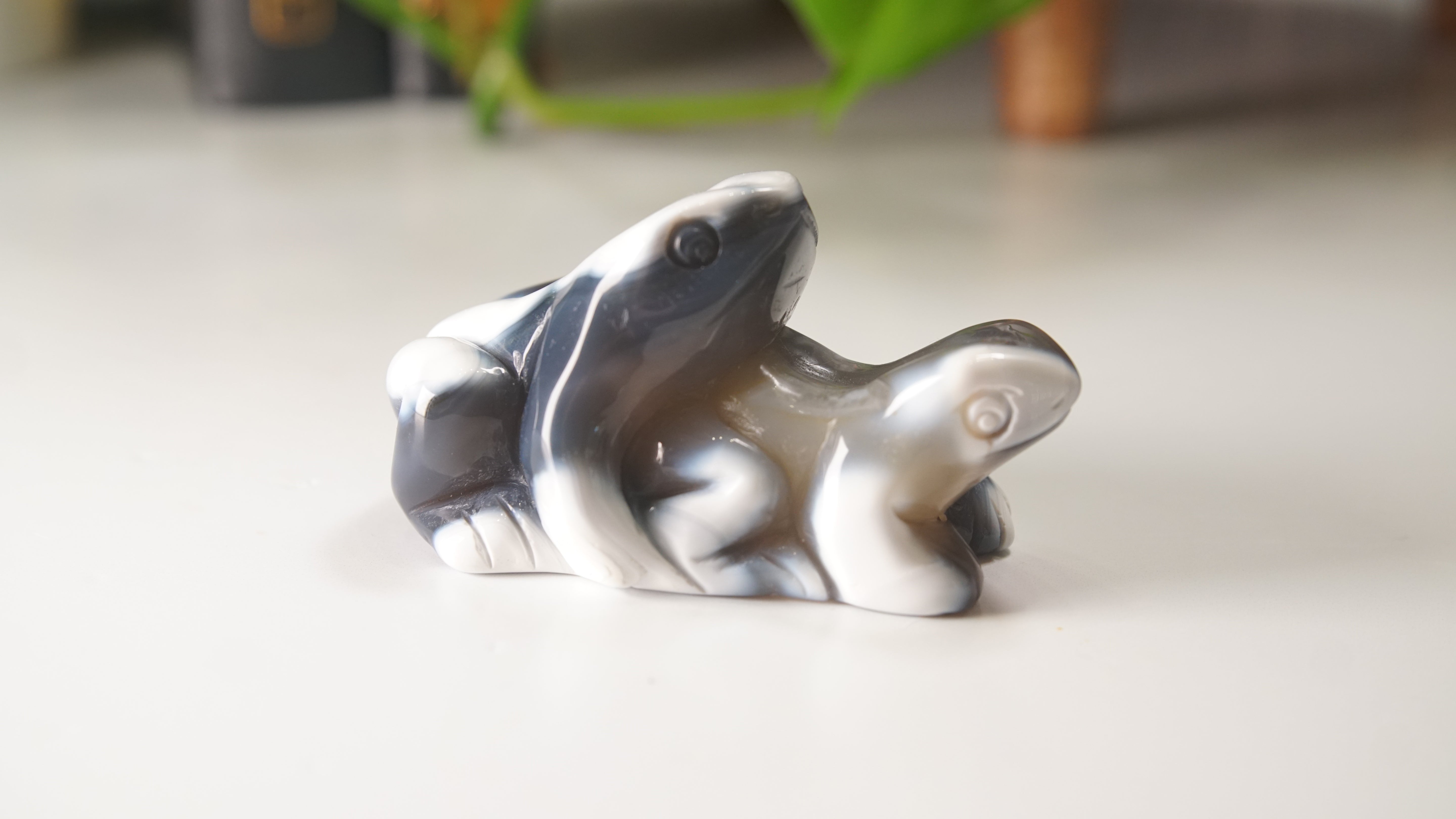 Orca Agate Frog Duo Boutique Carving