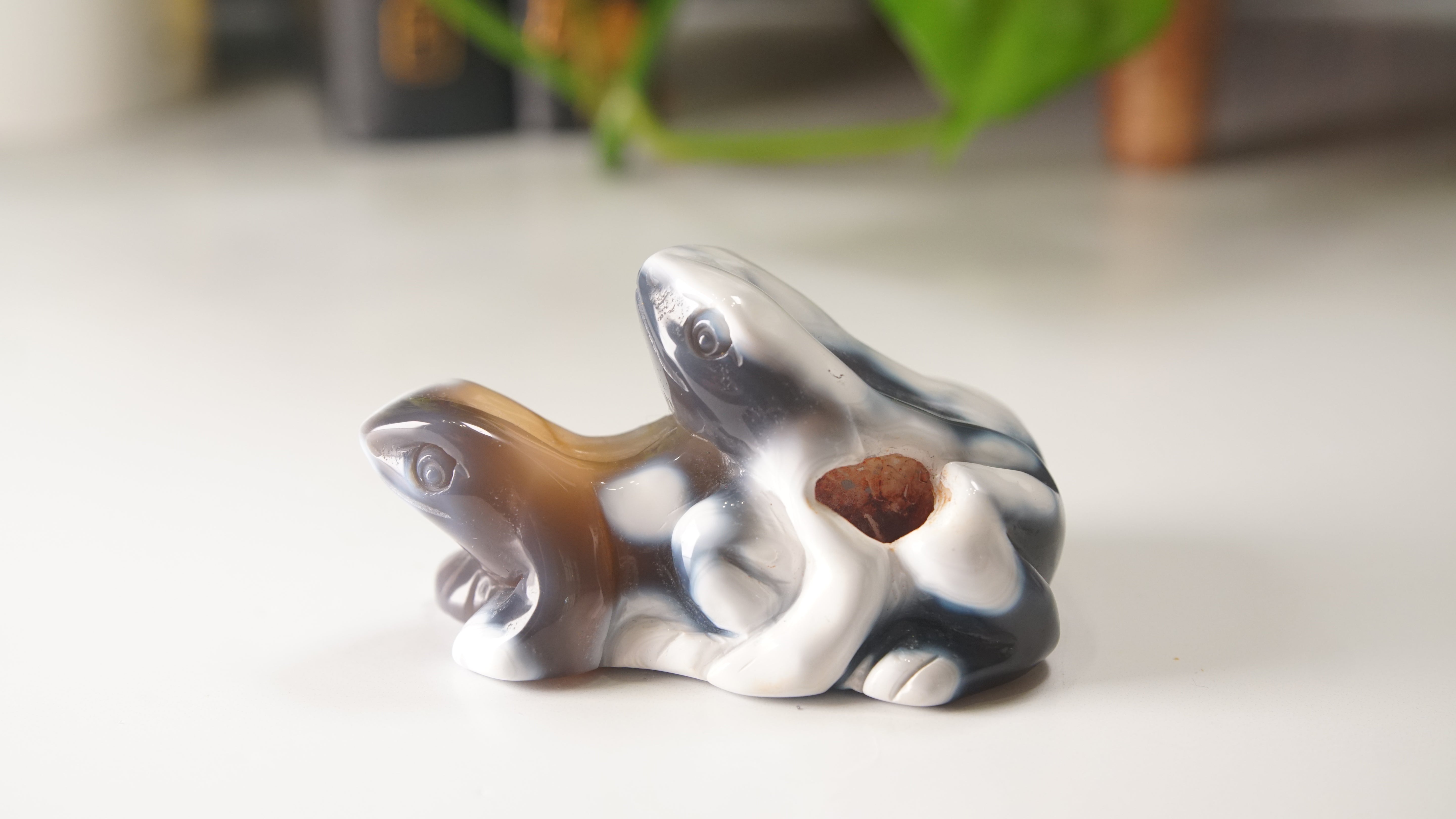 Orca Agate Frog Duo Boutique Carving
