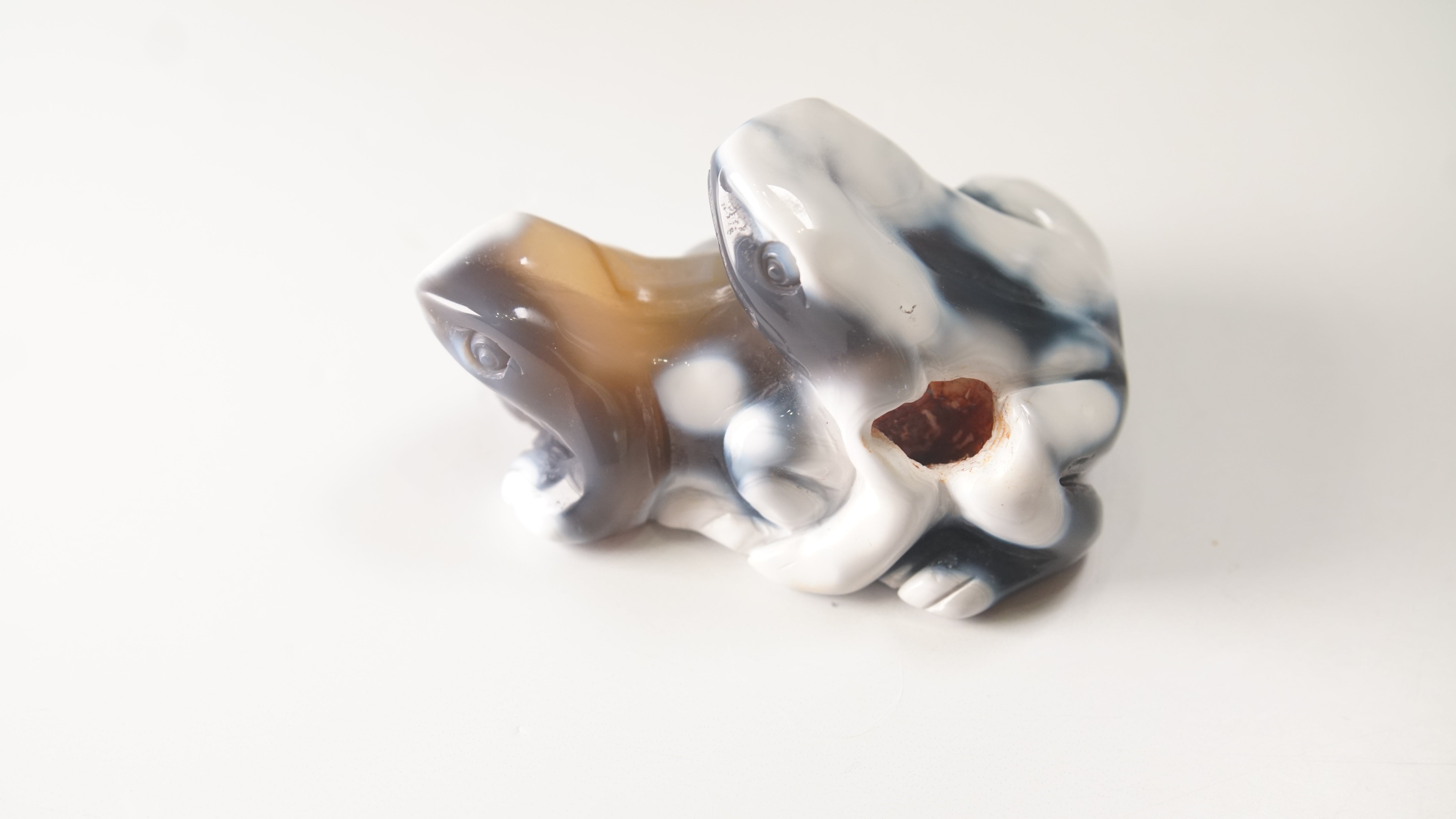Orca Agate Frog Duo Boutique Carving
