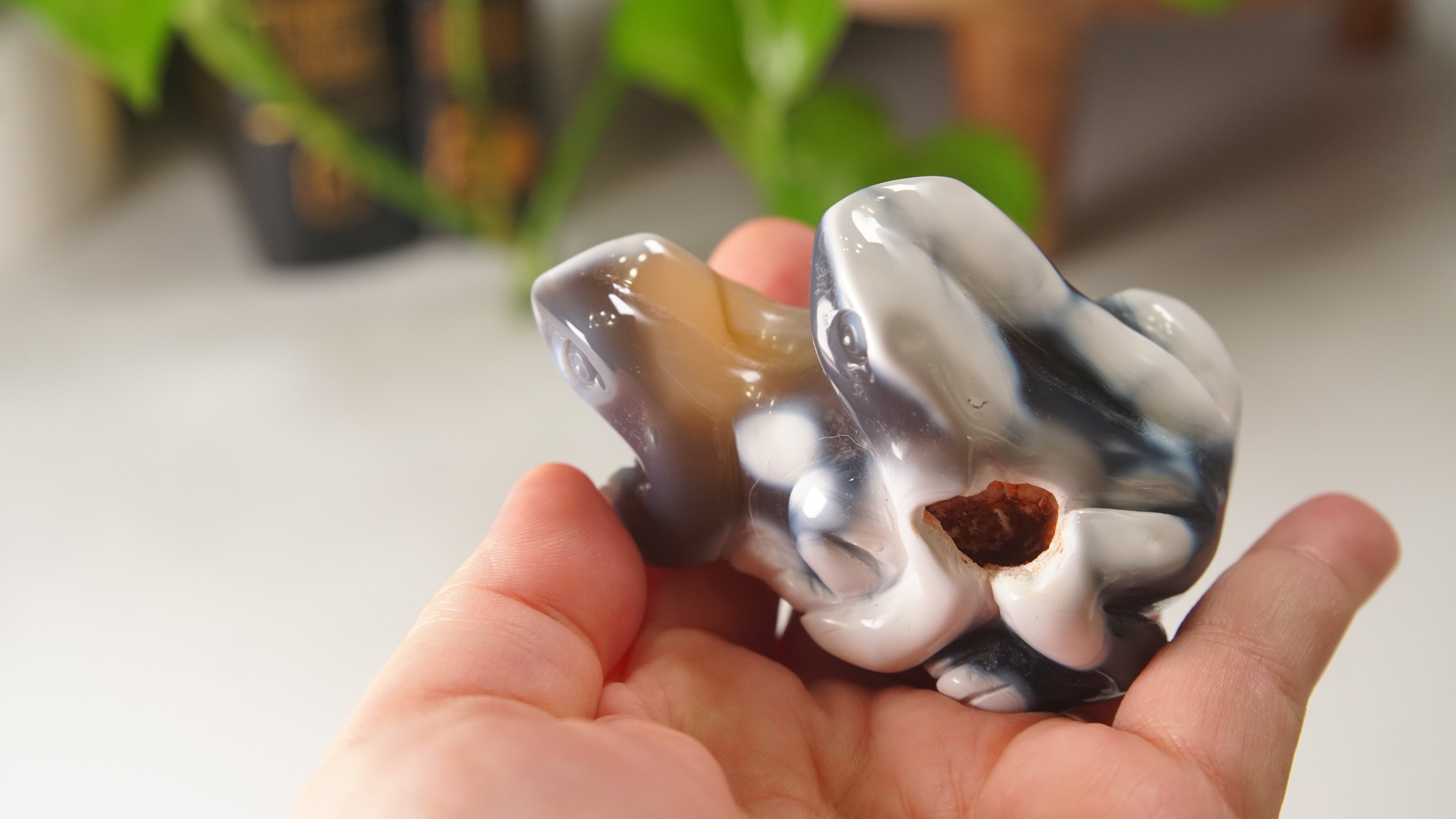 Orca Agate Frog Duo Boutique Carving