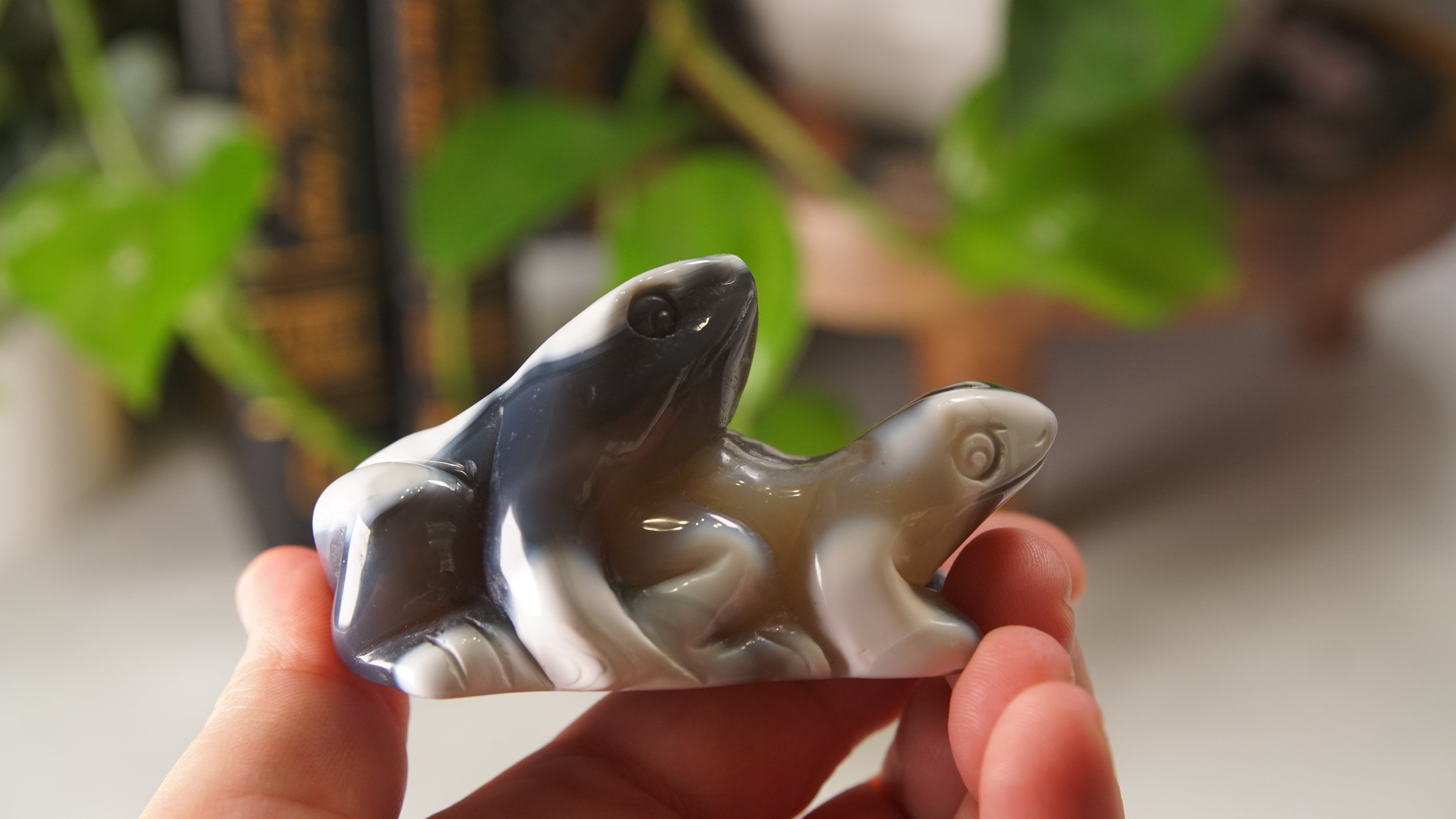 Orca Agate Frog Duo Boutique Carving