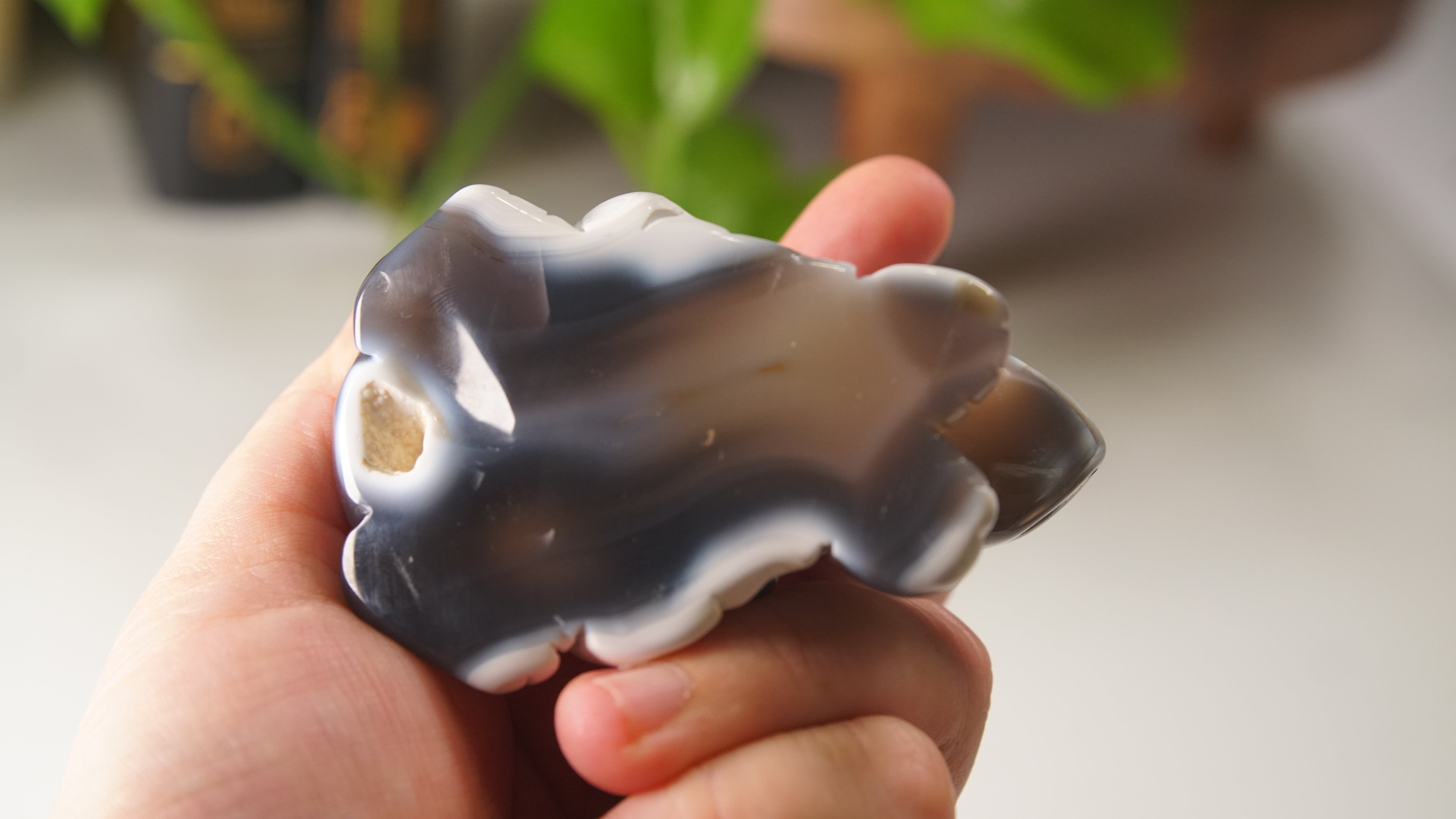 Orca Agate Frog Duo Boutique Carving