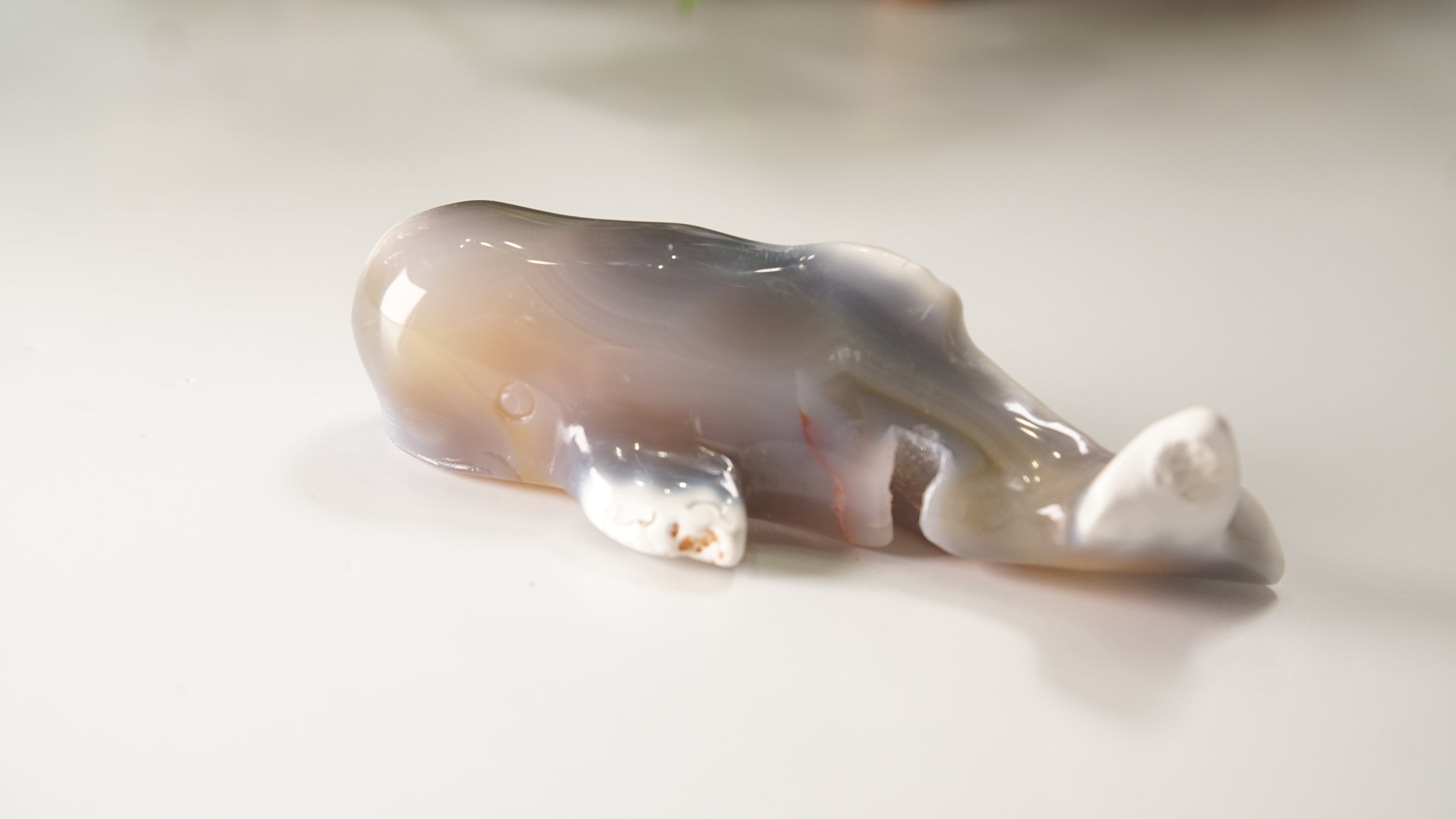 Orca Agate Druzy Whale Boutique Carving