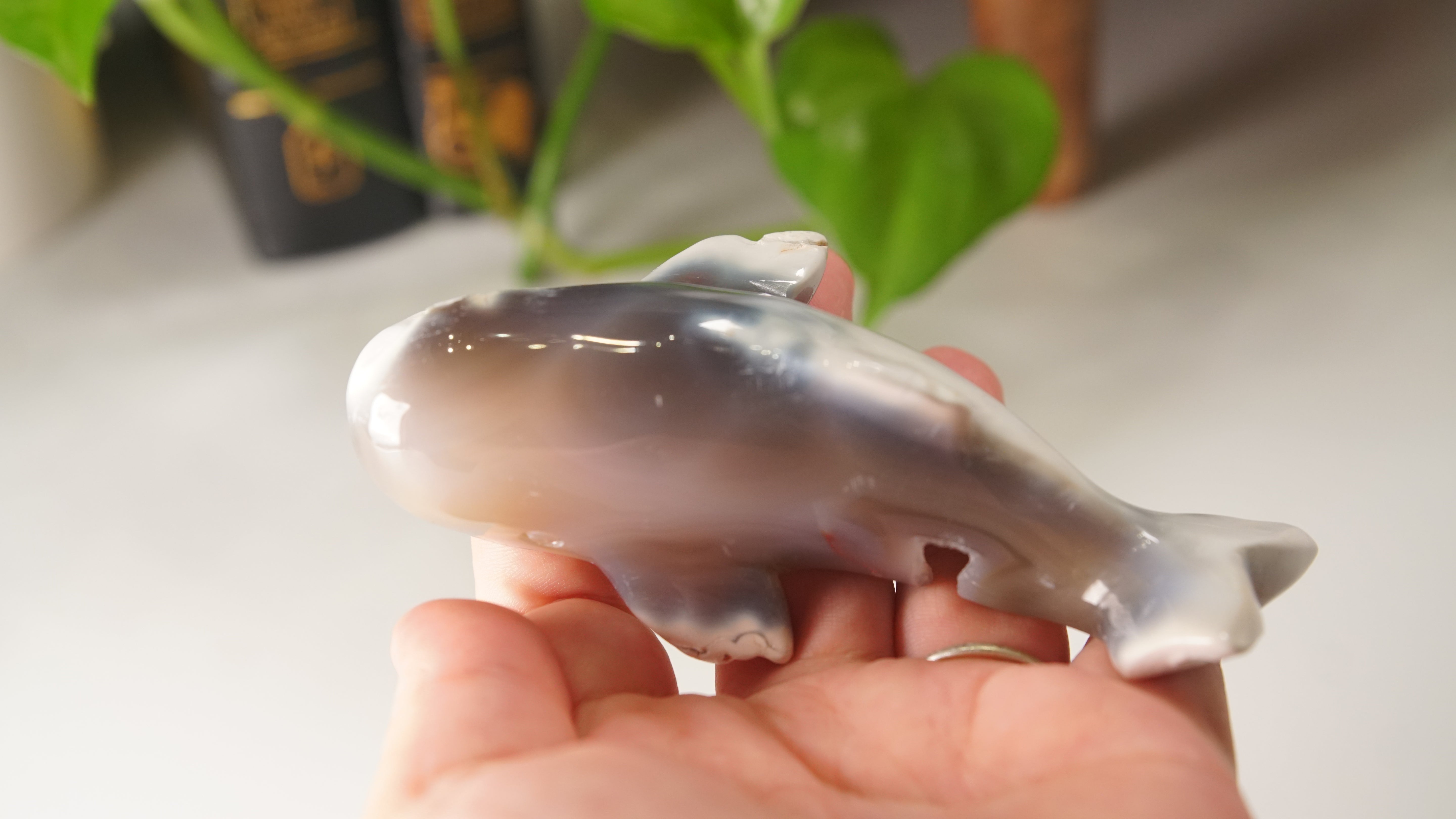 Orca Agate Druzy Whale Boutique Carving