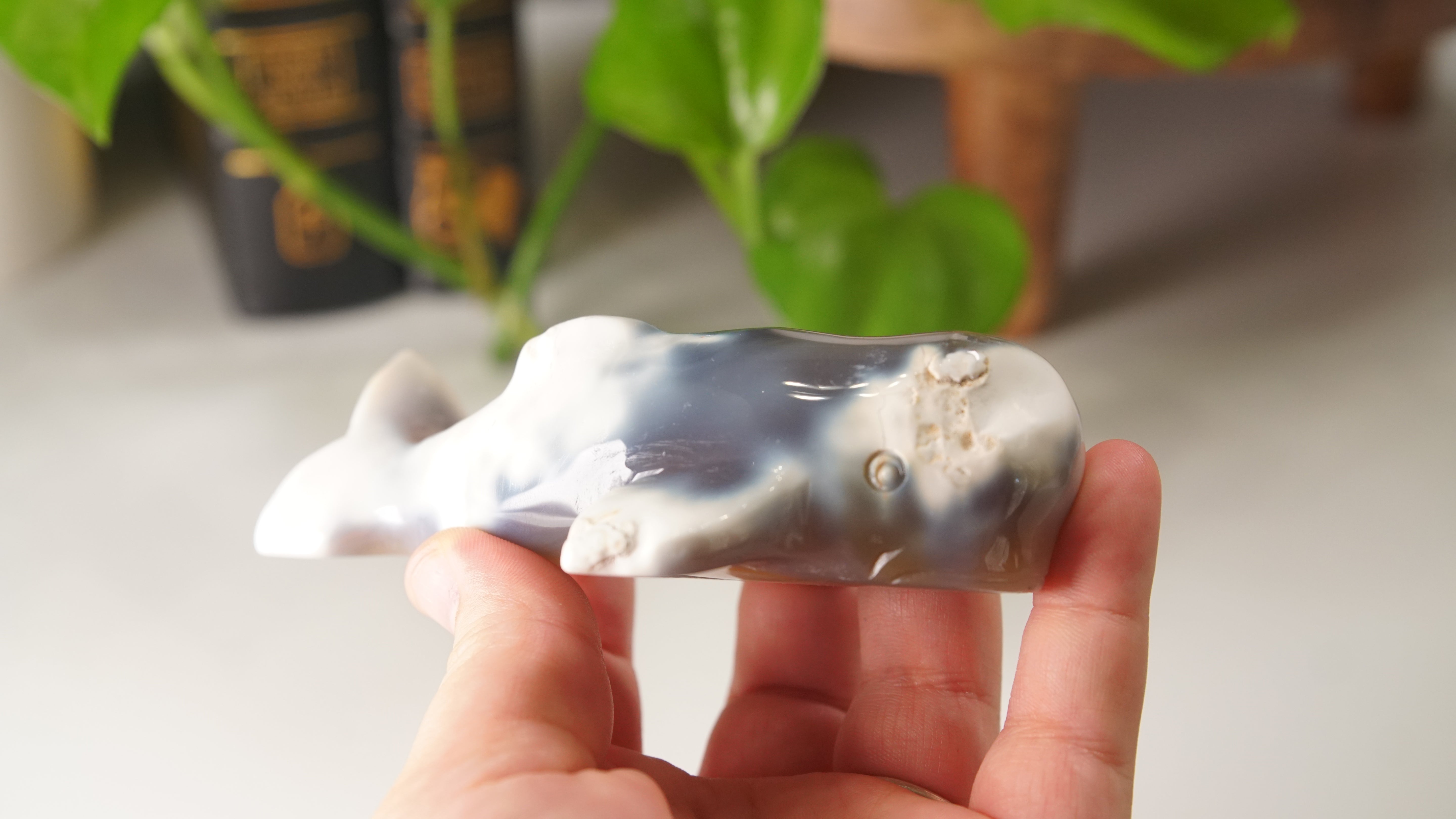 Orca Agate Druzy Whale Boutique Carving