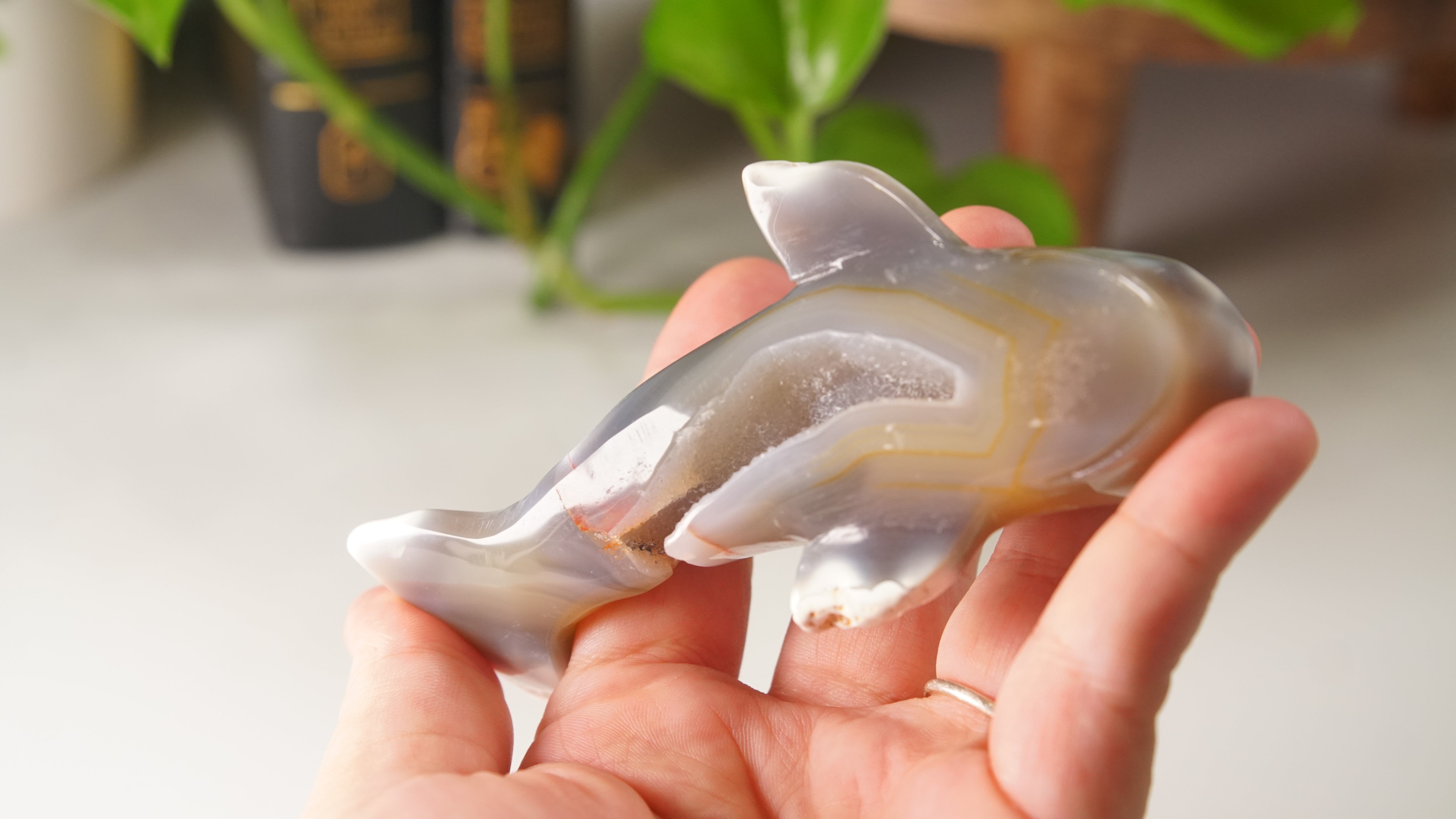 Orca Agate Druzy Whale Boutique Carving