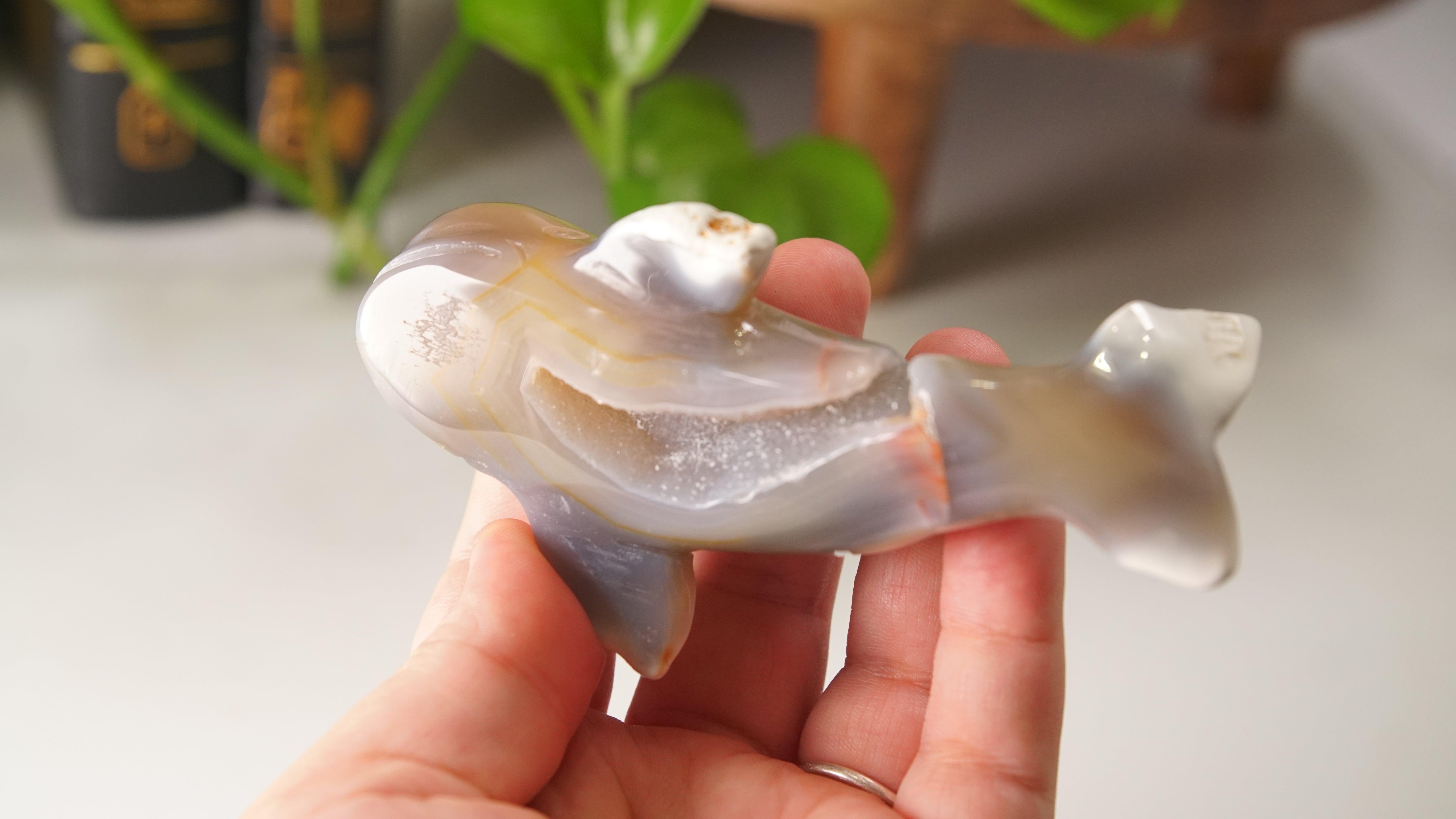 Orca Agate Druzy Whale Boutique Carving