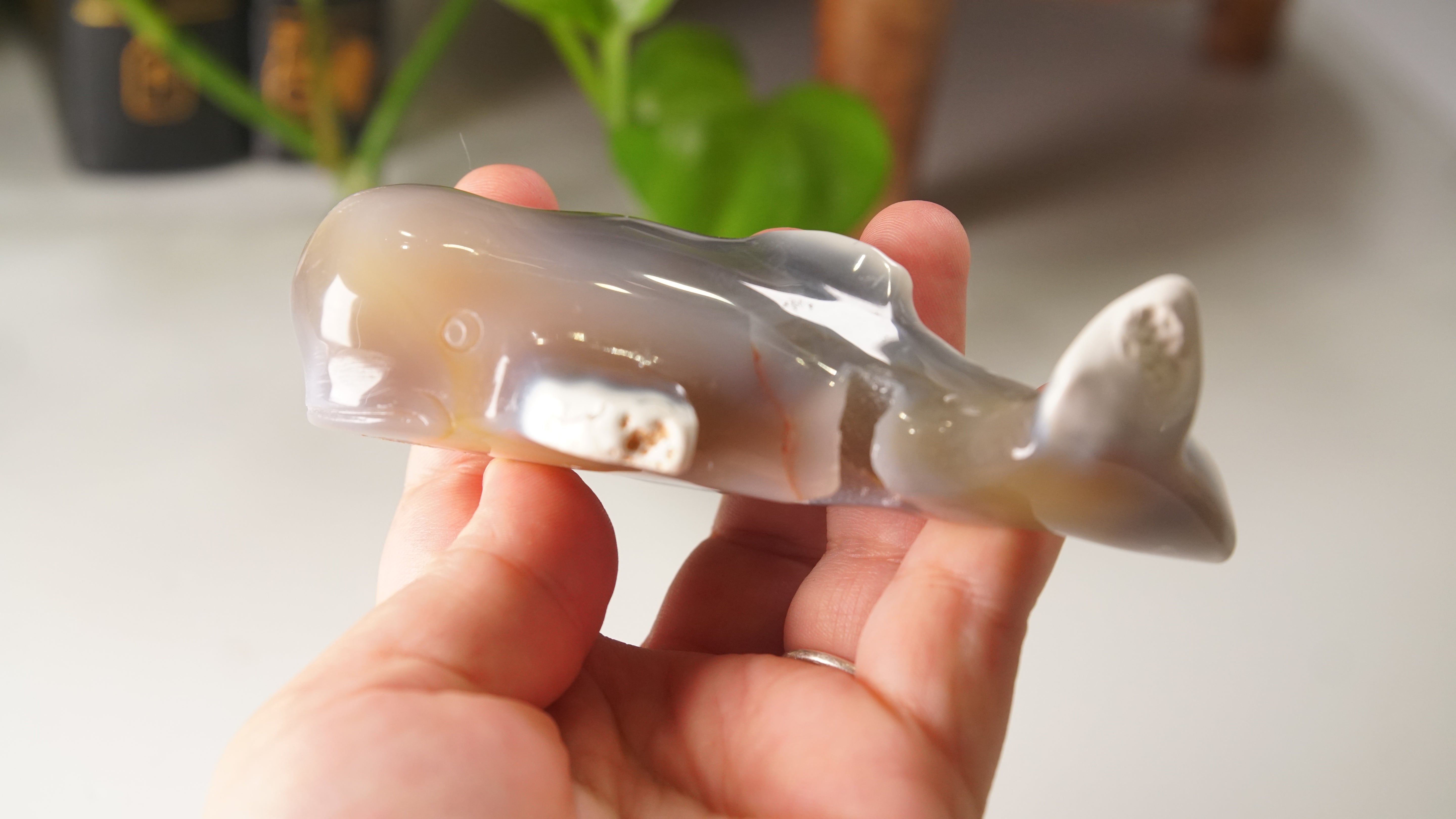Orca Agate Druzy Whale Boutique Carving