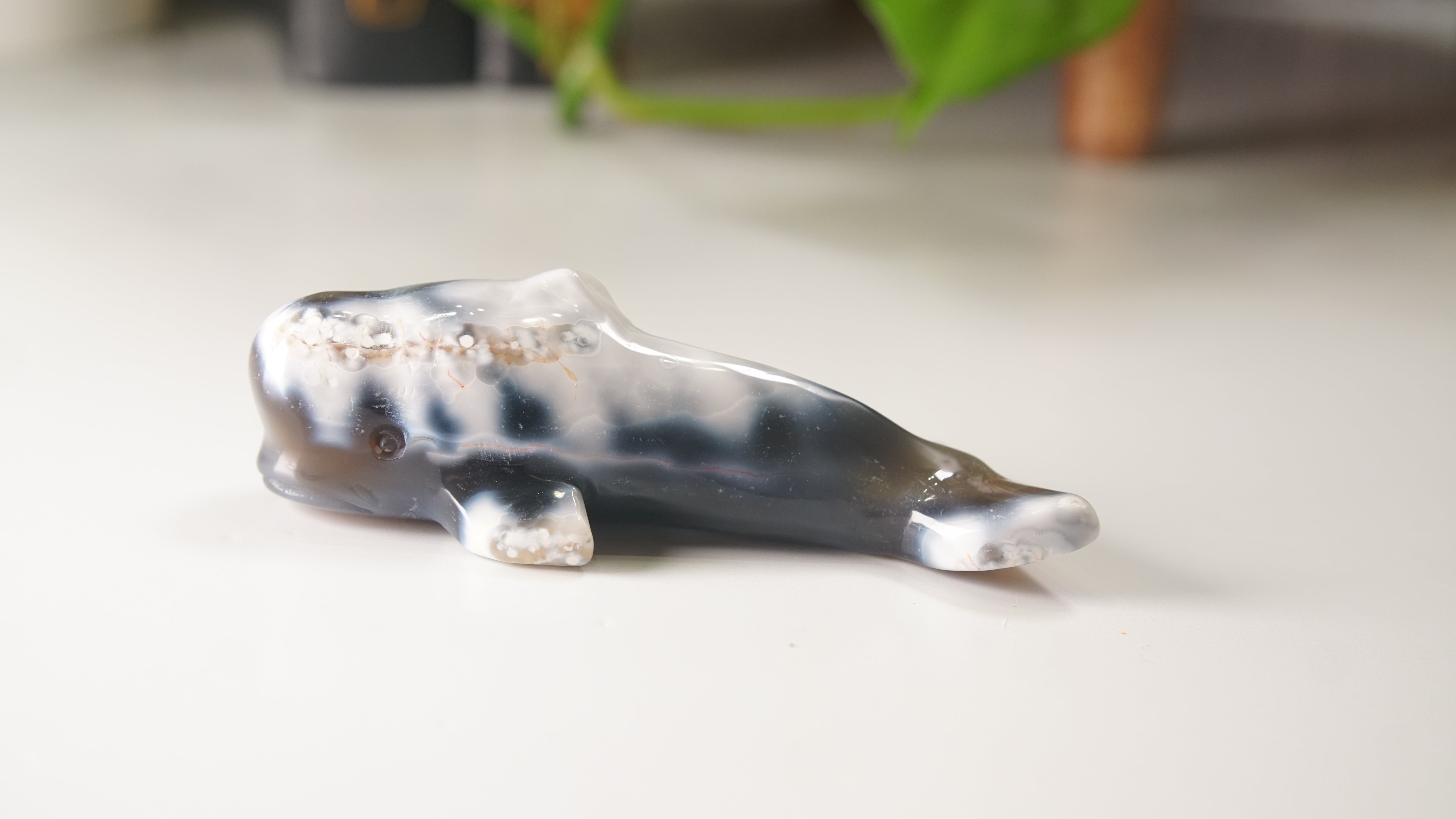 Orca Agate Small Whale Boutique Carving