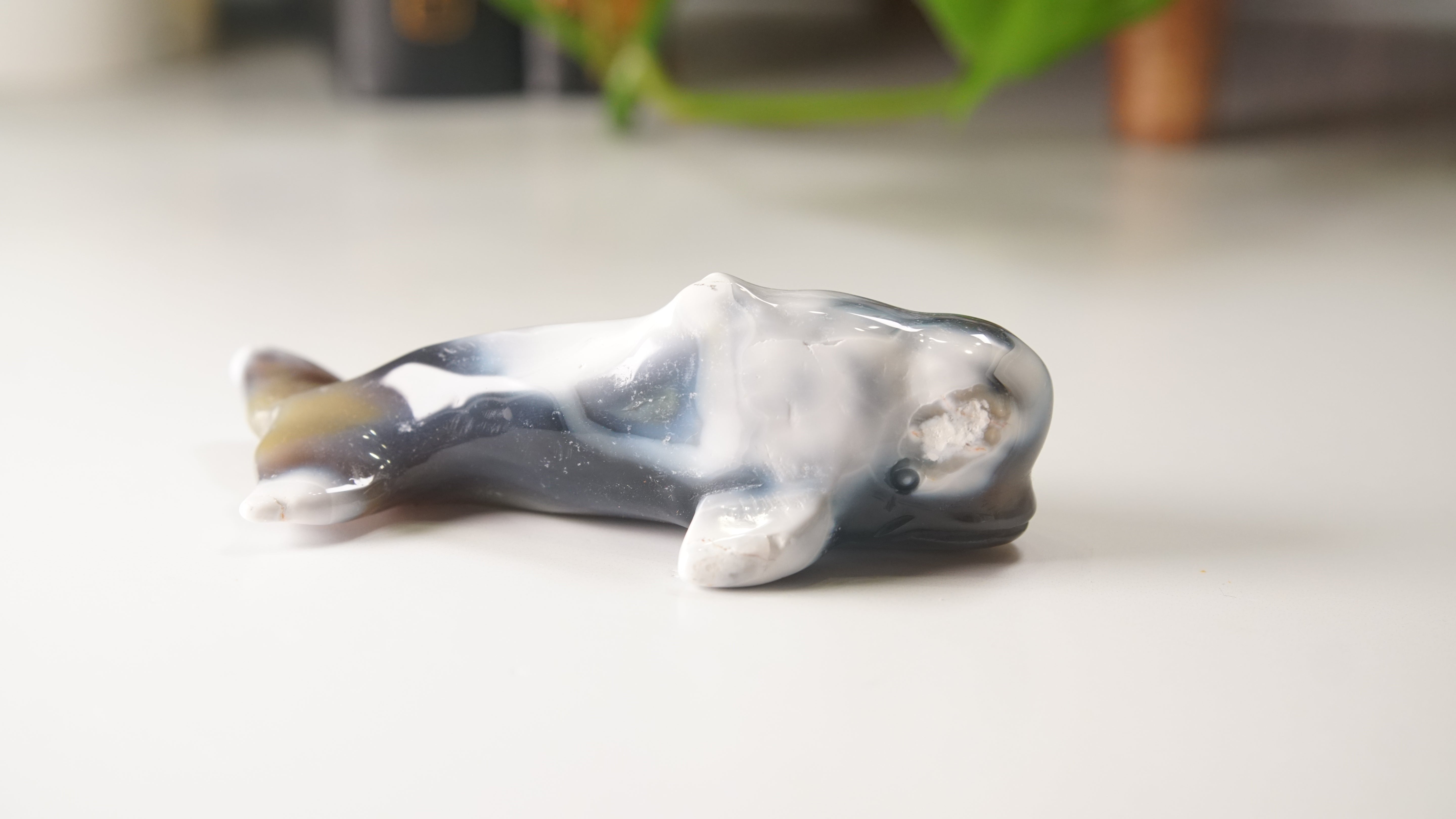 Orca Agate Small Whale Boutique Carving