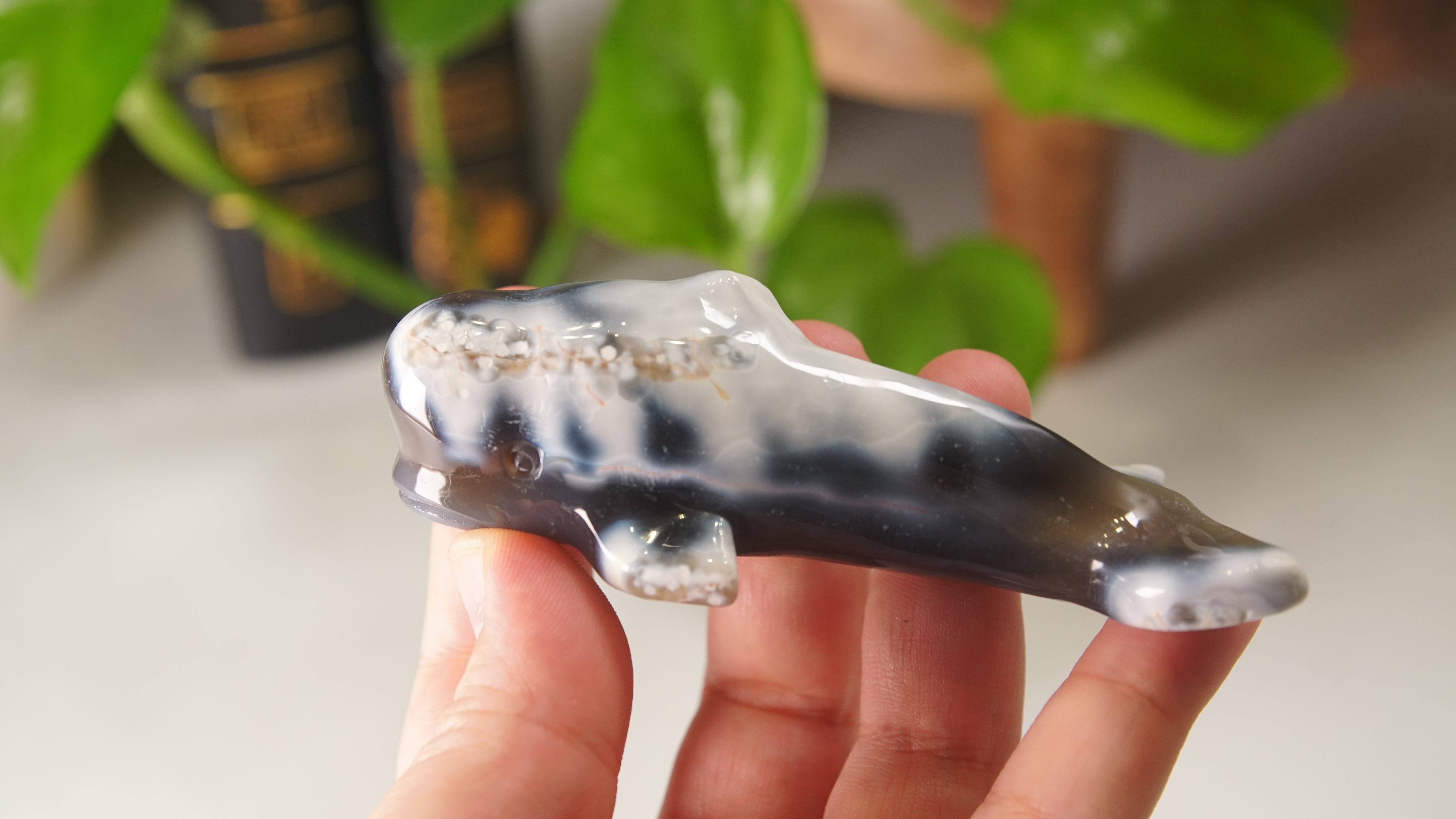 Orca Agate Small Whale Boutique Carving