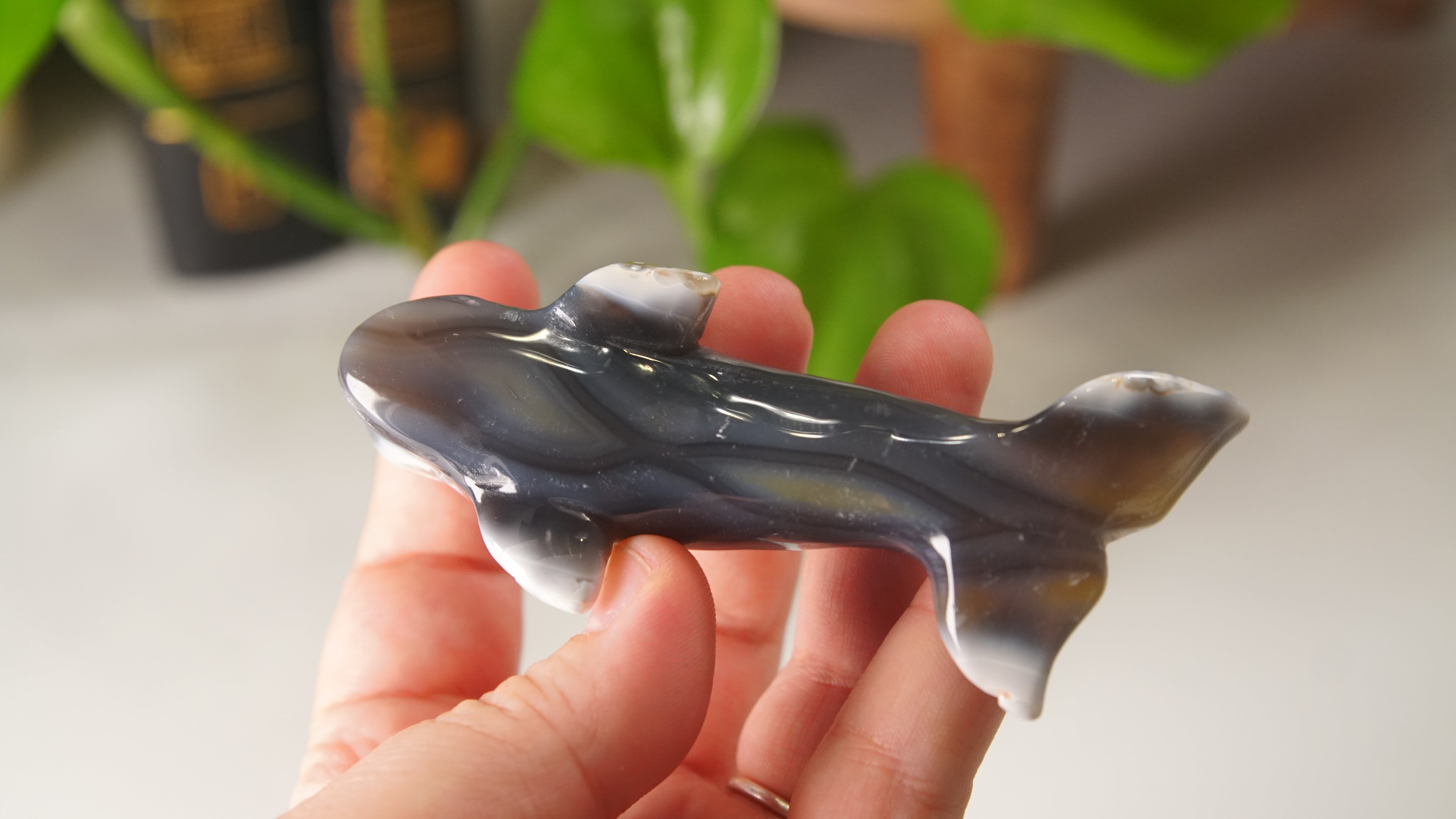 Orca Agate Small Whale Boutique Carving