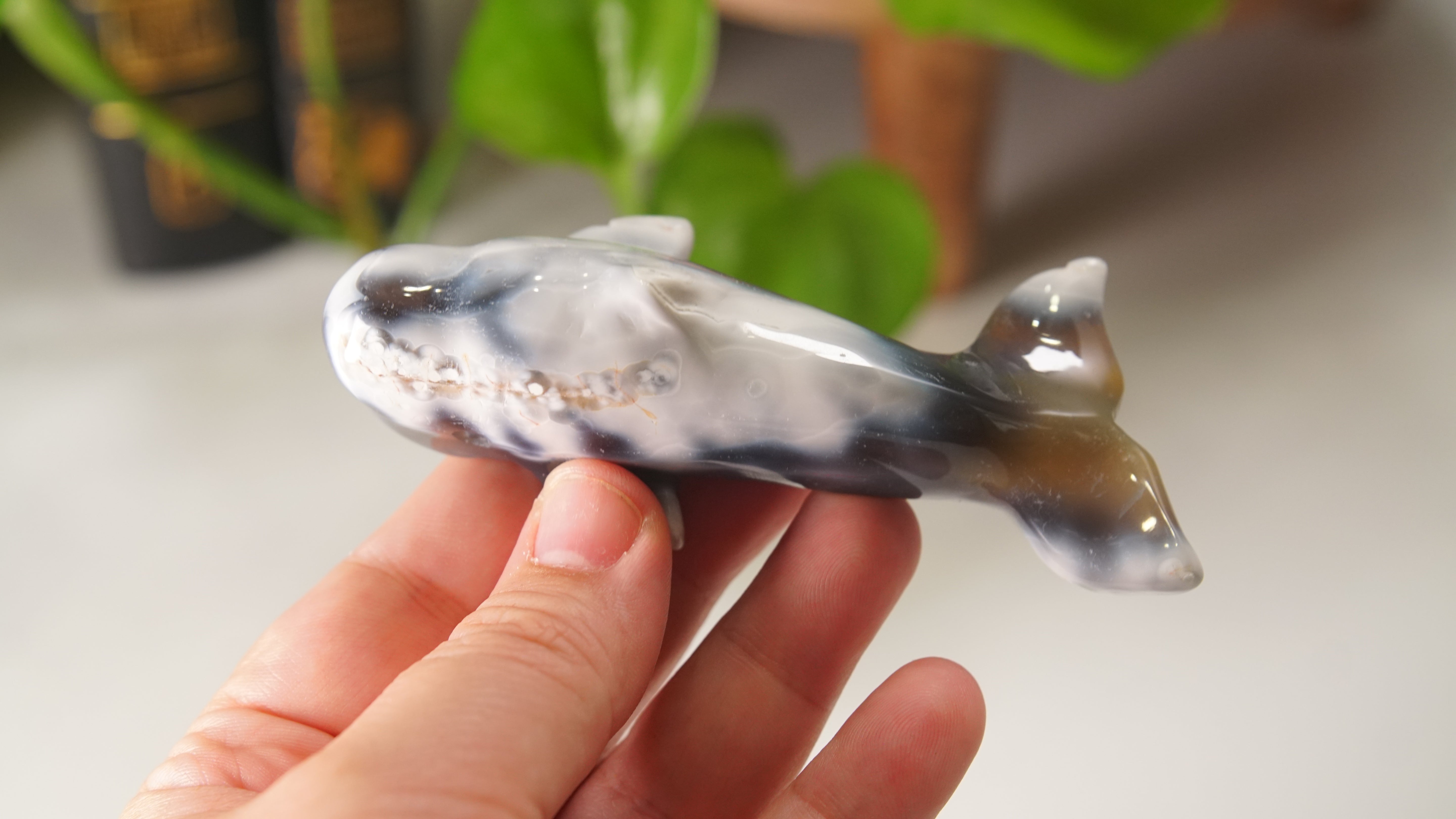 Orca Agate Small Whale Boutique Carving