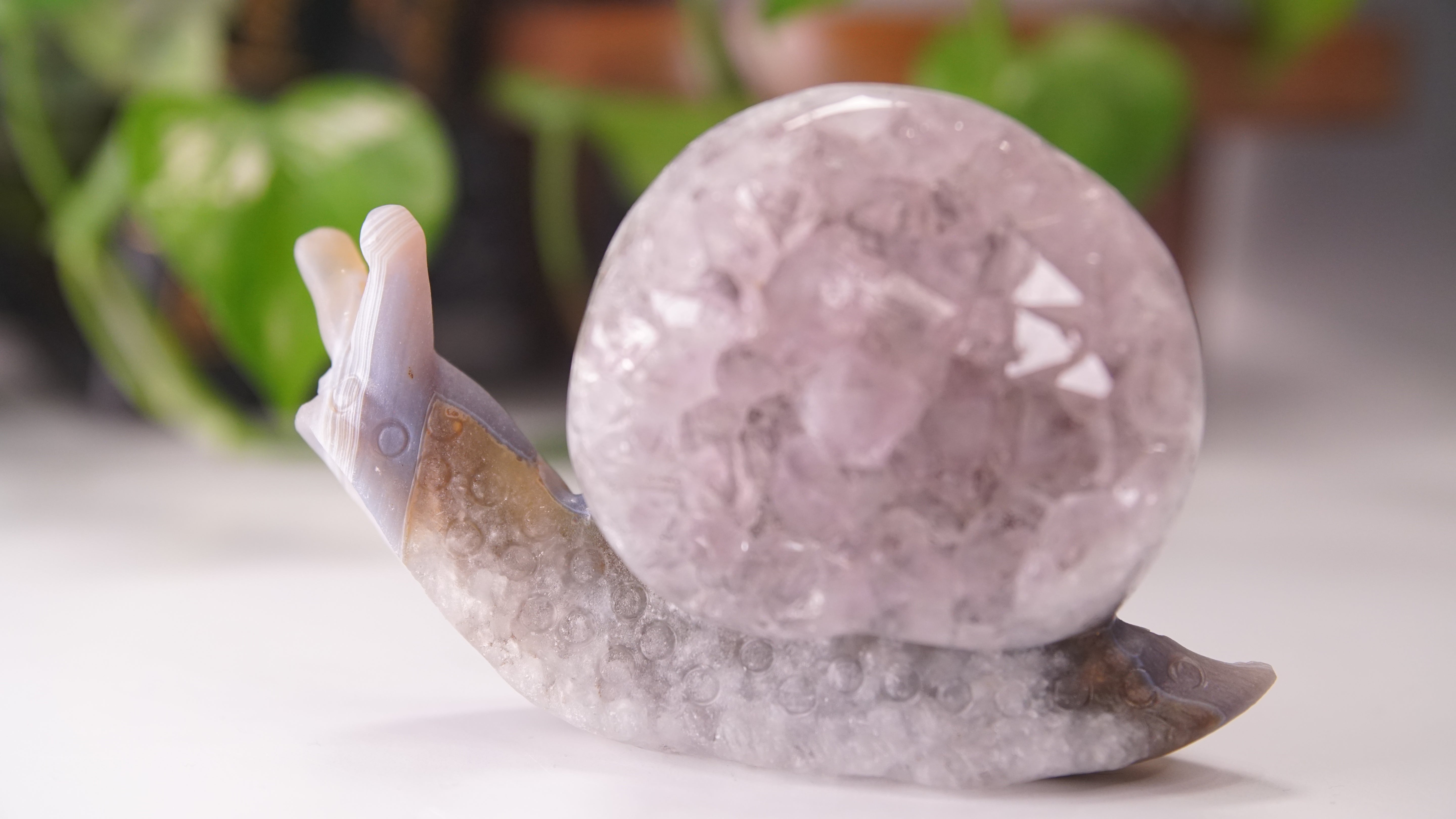 Gorgeous Agate Amethyst Boutique Snail Carving | Crystal Carving Statement Piece