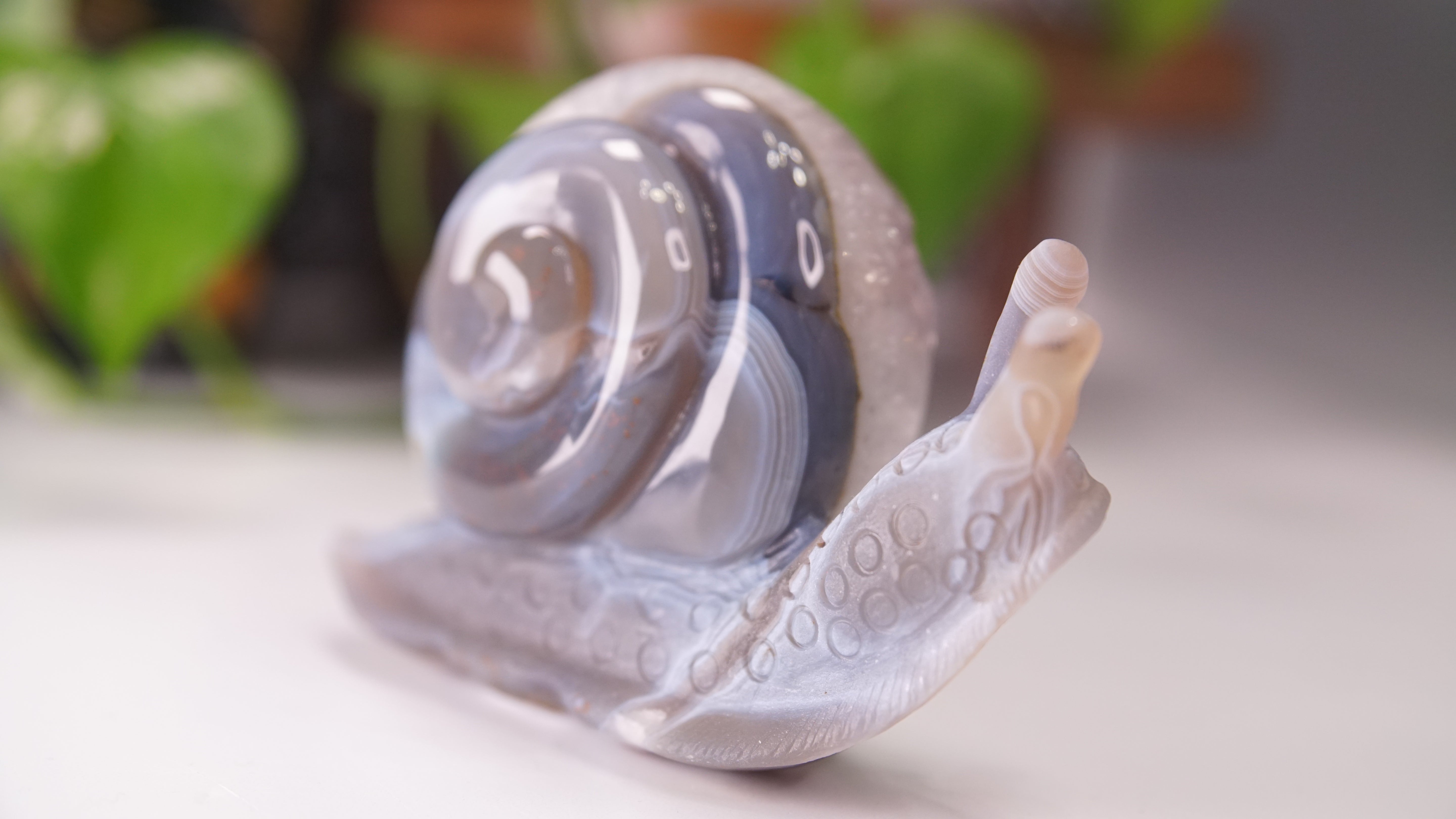 Gorgeous Agate Amethyst Boutique Snail Carving | Crystal Carving Statement Piece