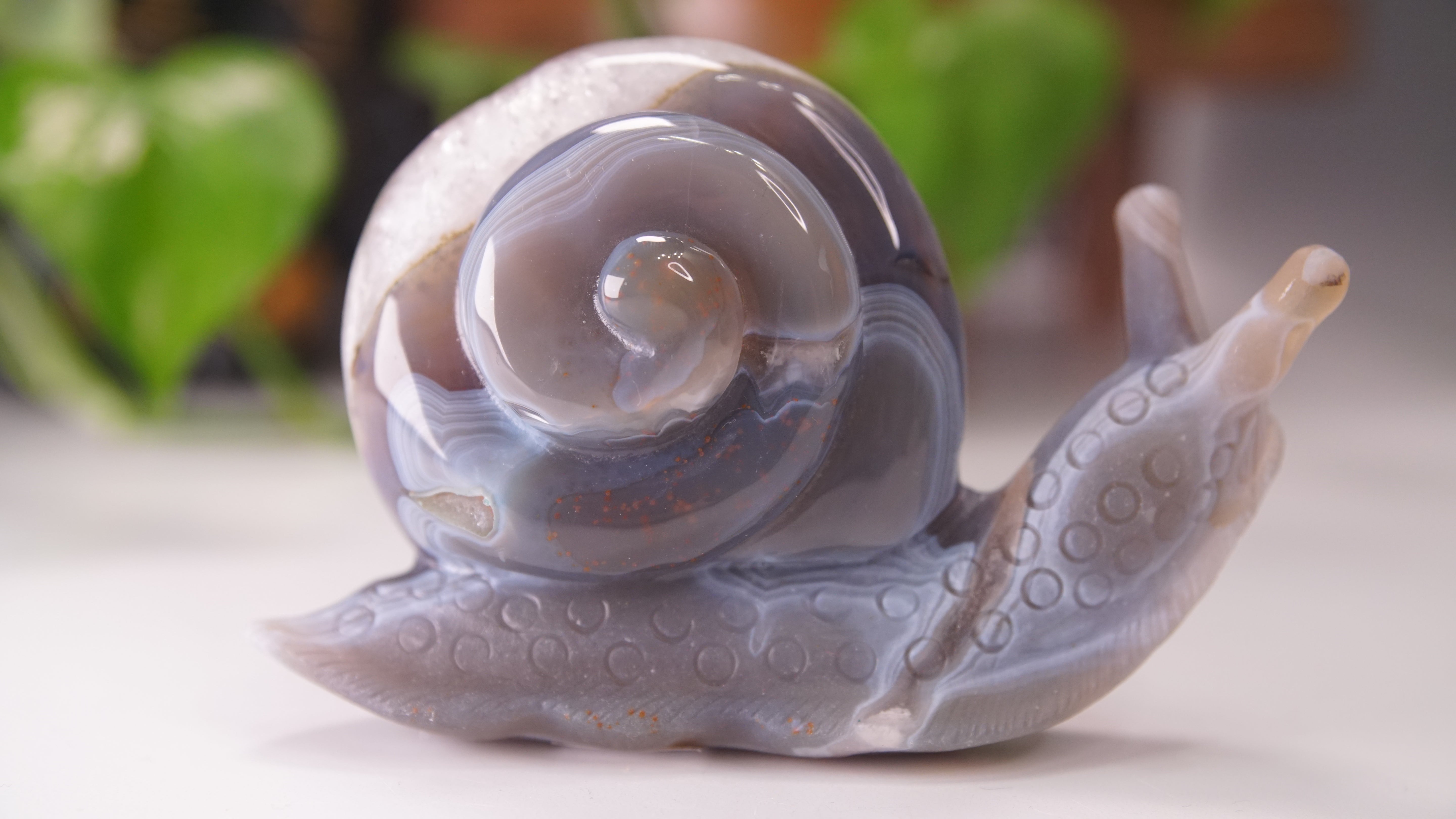 Gorgeous Agate Amethyst Boutique Snail Carving | Crystal Carving Statement Piece