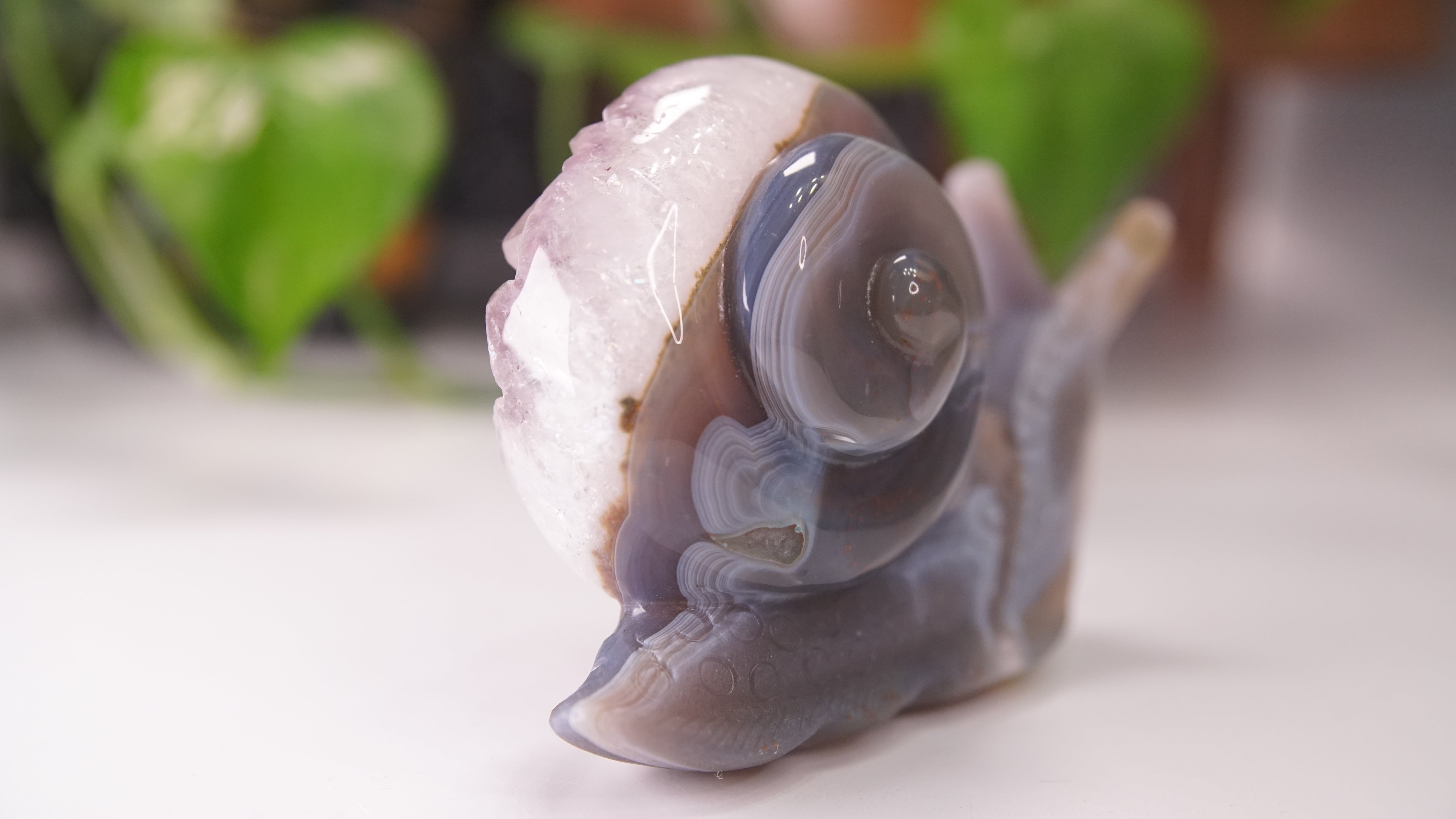 Gorgeous Agate Amethyst Boutique Snail Carving | Crystal Carving Statement Piece
