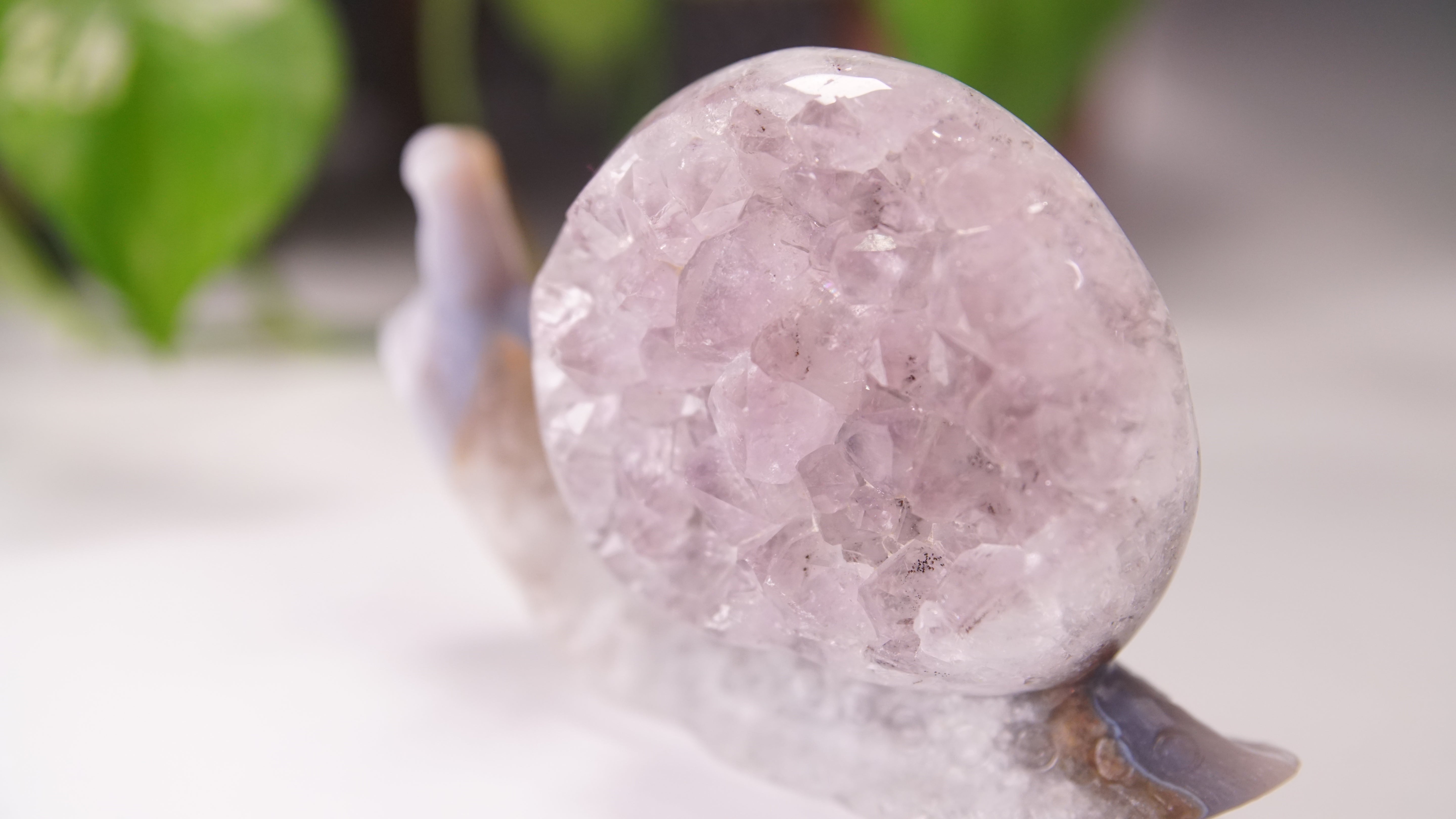 Gorgeous Agate Amethyst Boutique Snail Carving | Crystal Carving Statement Piece