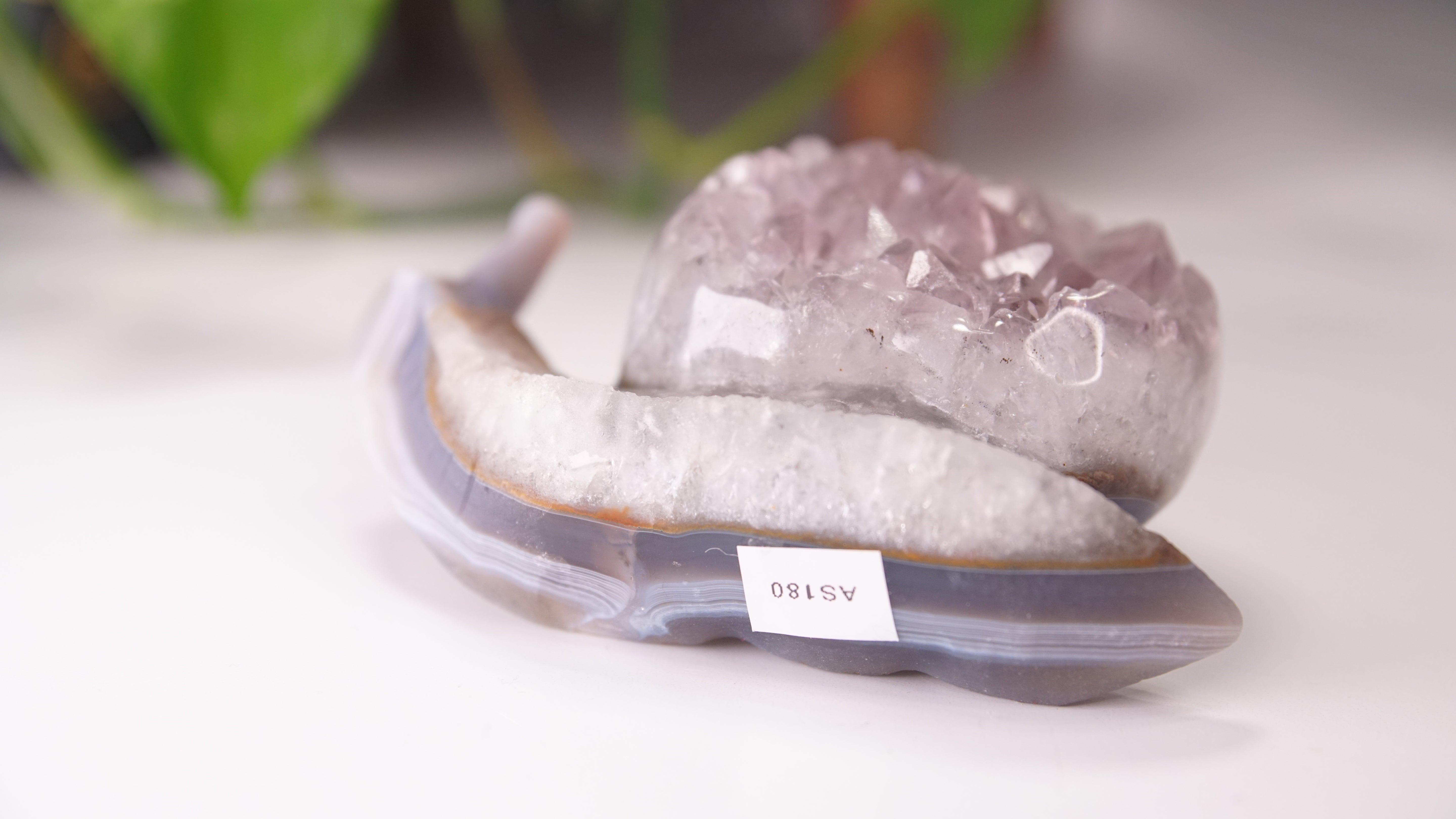 Gorgeous Agate Amethyst Boutique Snail Carving | Crystal Carving Statement Piece