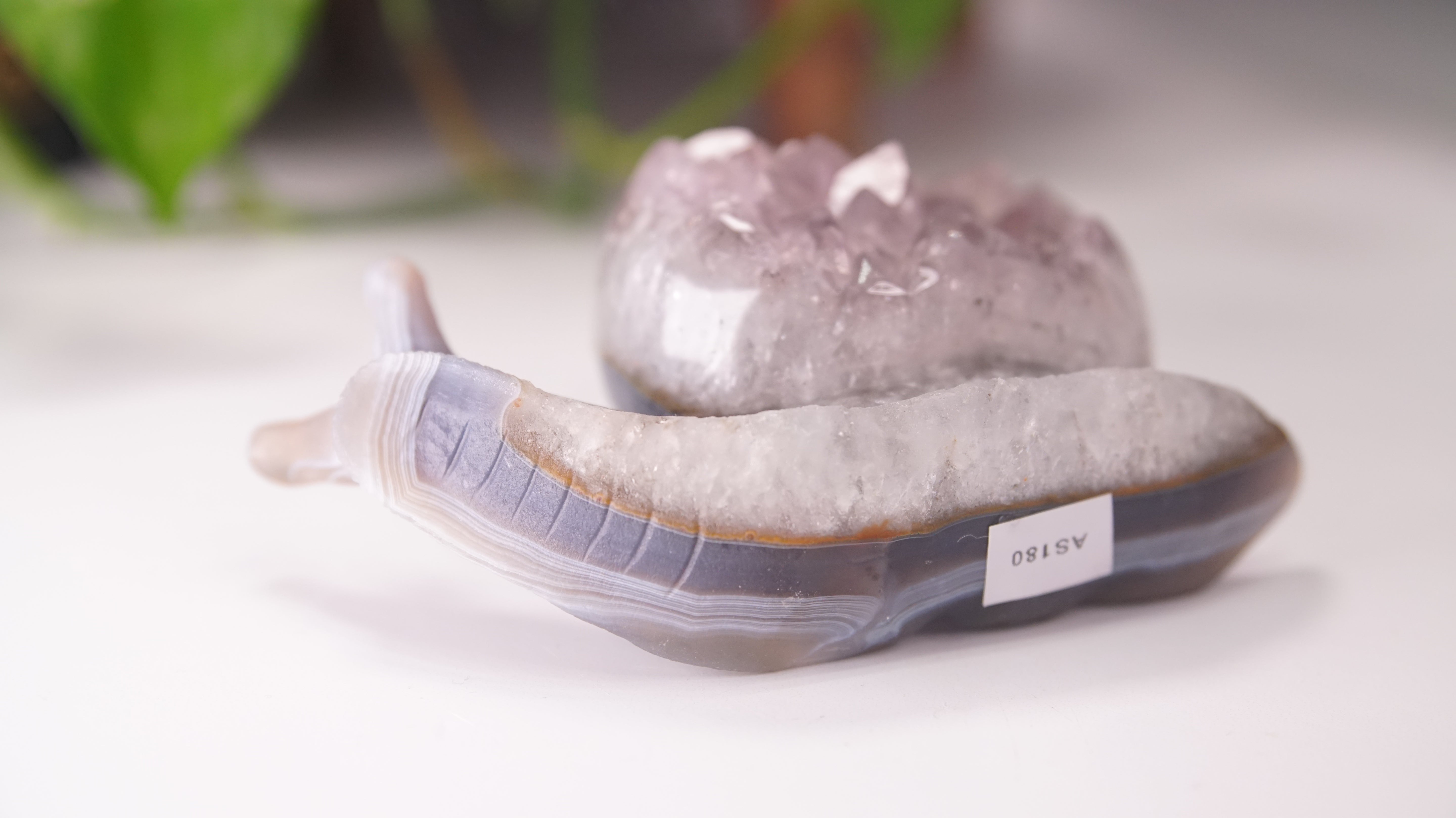 Gorgeous Agate Amethyst Boutique Snail Carving | Crystal Carving Statement Piece