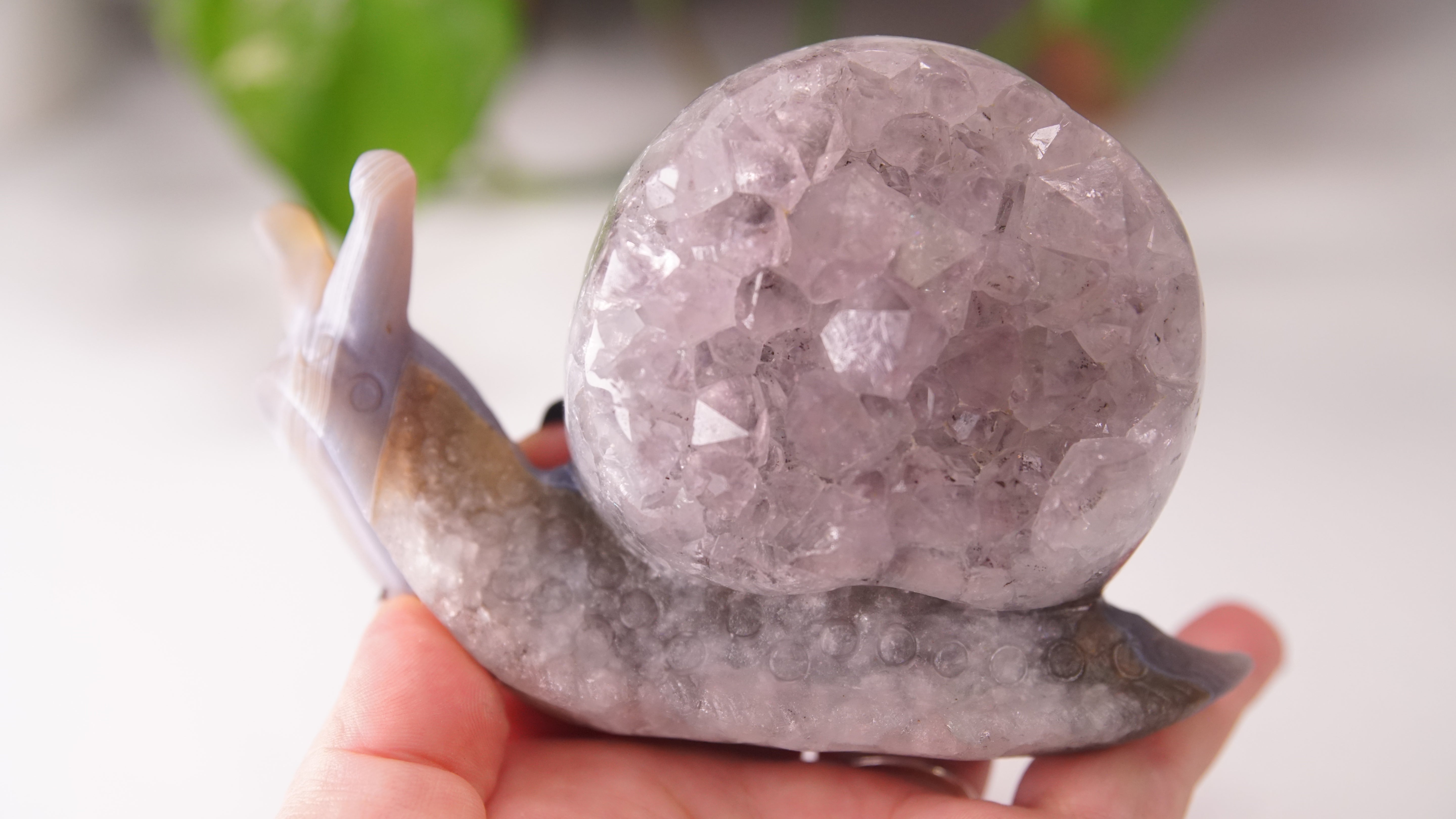 Gorgeous Agate Amethyst Boutique Snail Carving | Crystal Carving Statement Piece