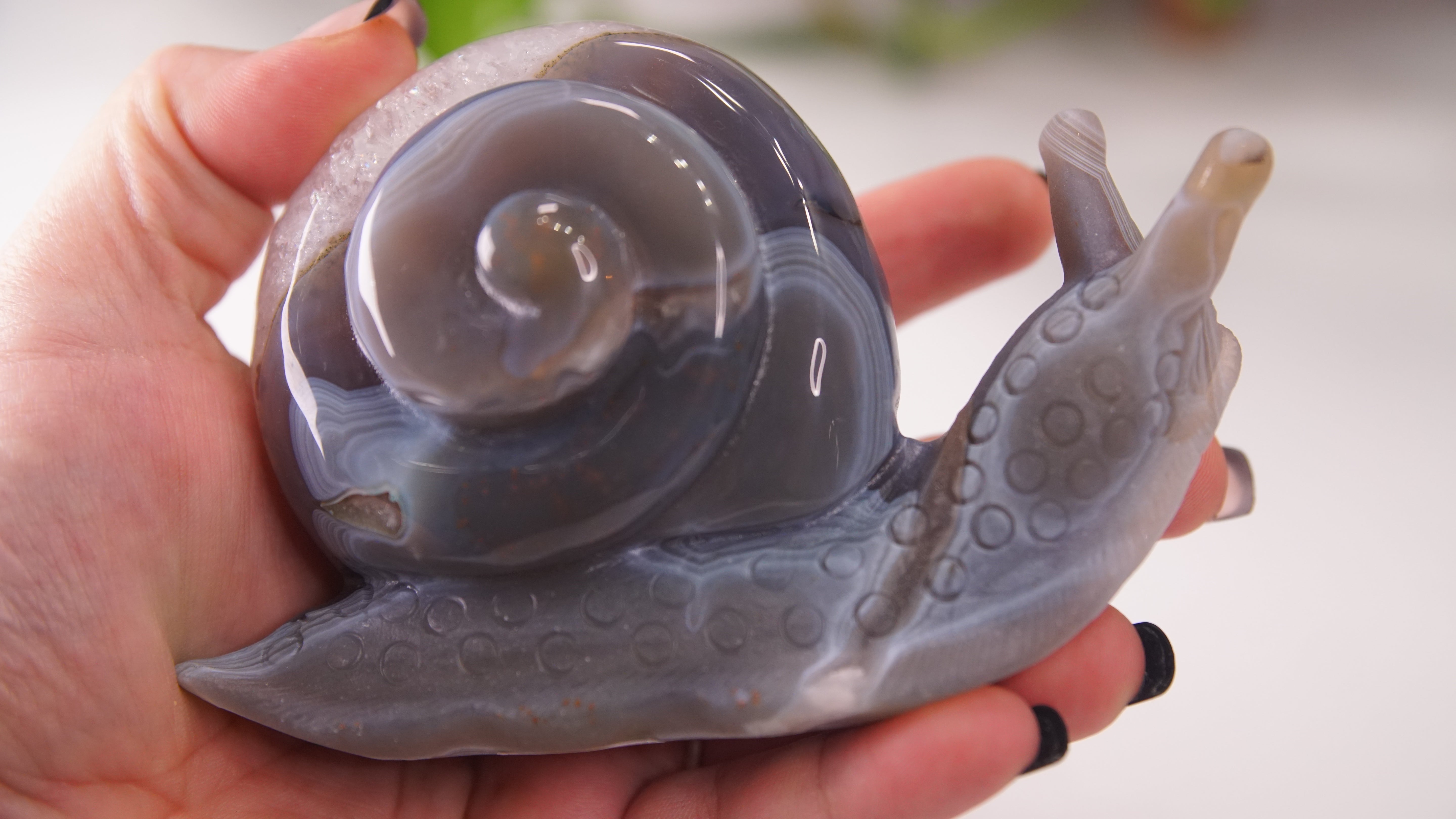 Gorgeous Agate Amethyst Boutique Snail Carving | Crystal Carving Statement Piece