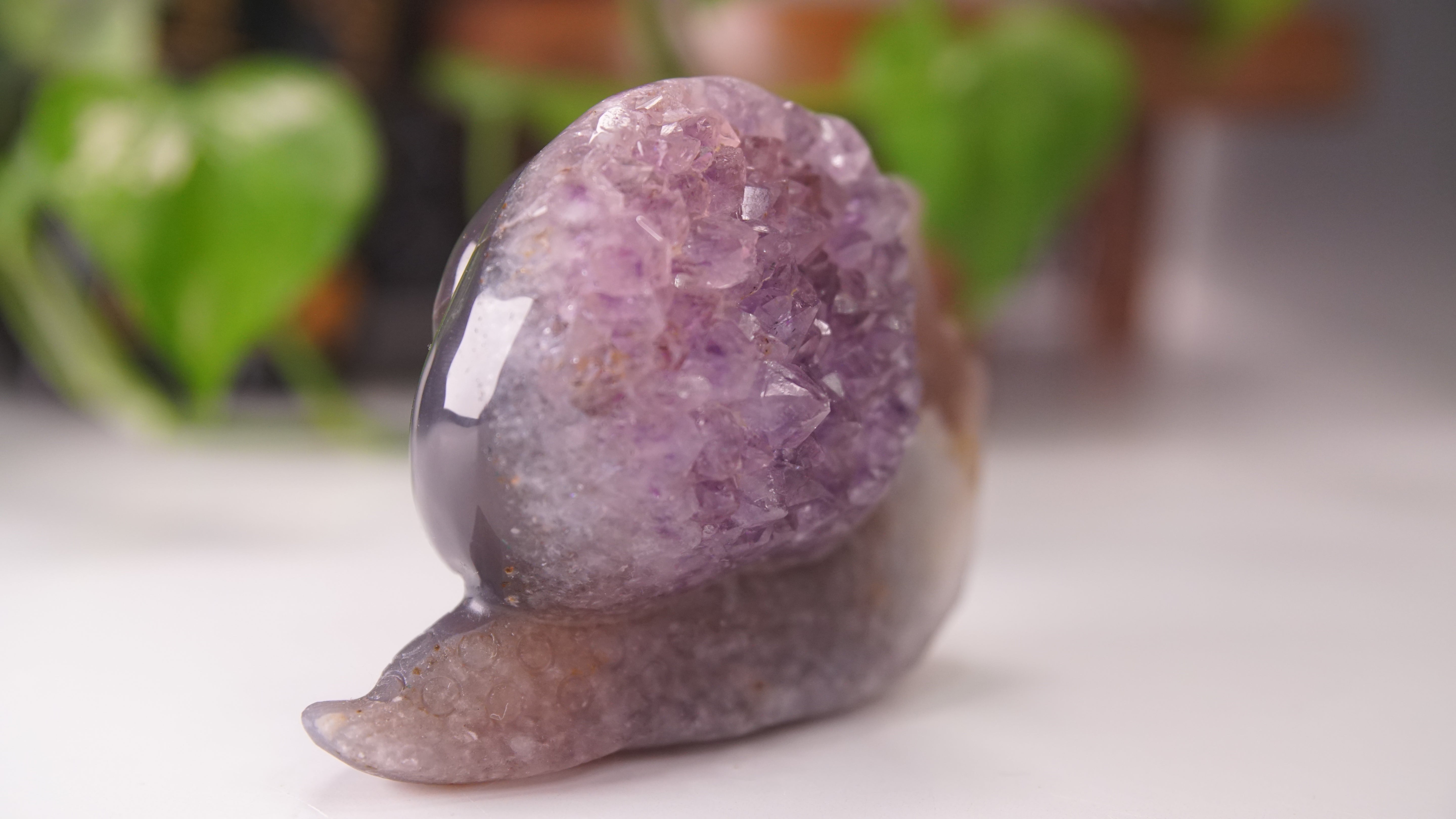 Gorgeous Agate Amethyst Boutique Snail Carving | Crystal Carving Statement Piece