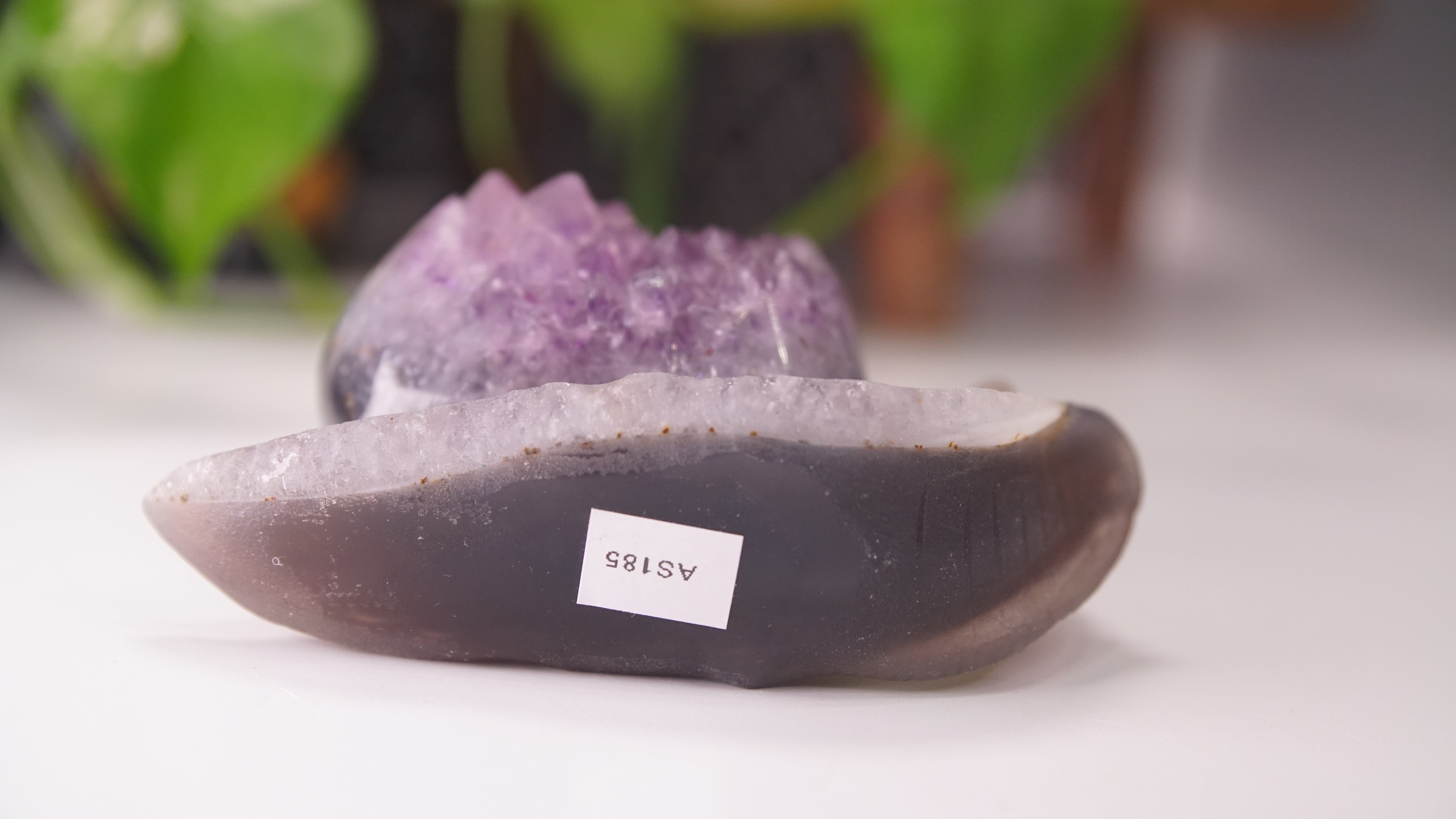 Gorgeous Agate Amethyst Boutique Snail Carving | Crystal Carving Statement Piece
