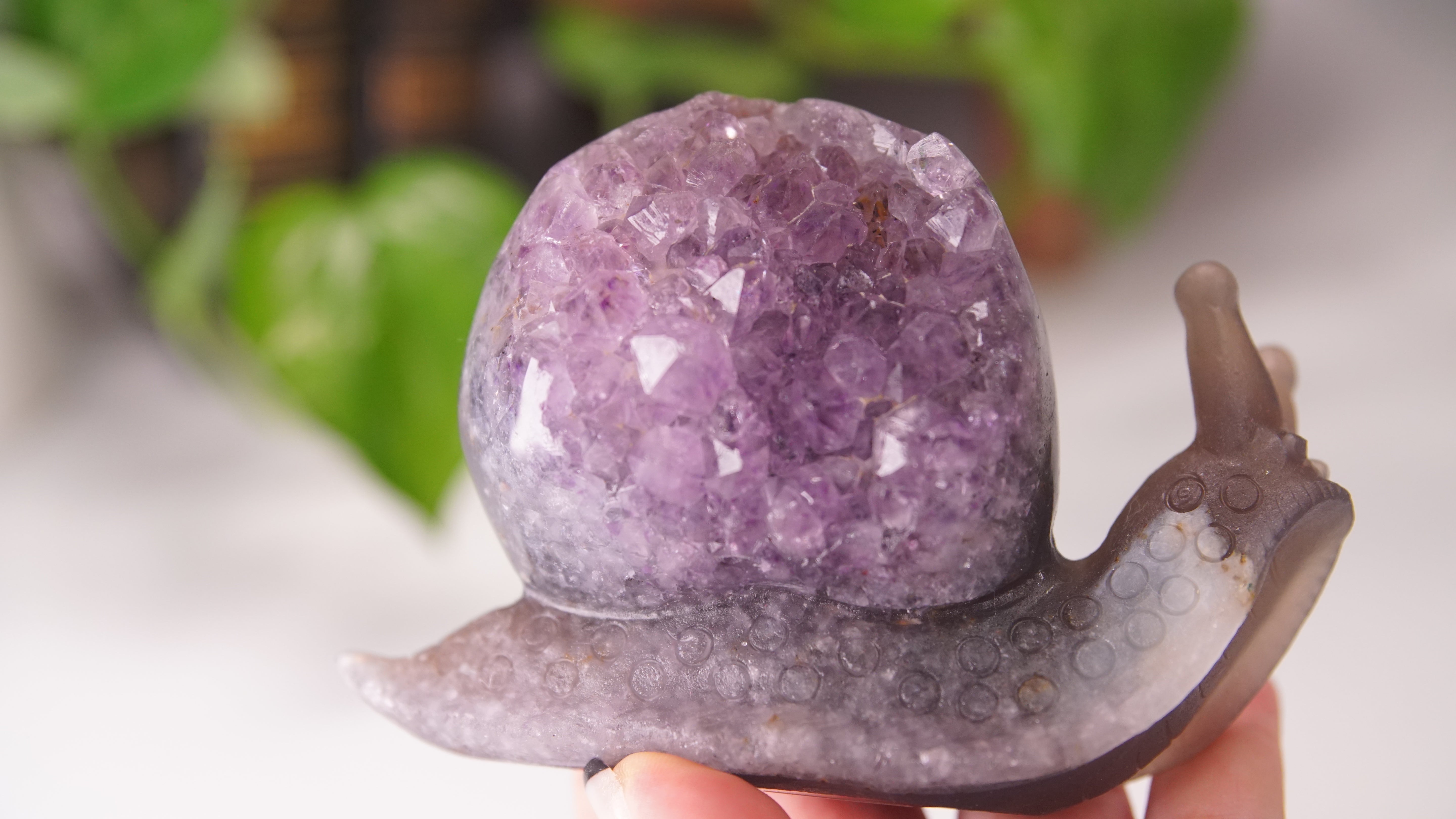 Gorgeous Agate Amethyst Boutique Snail Carving | Crystal Carving Statement Piece