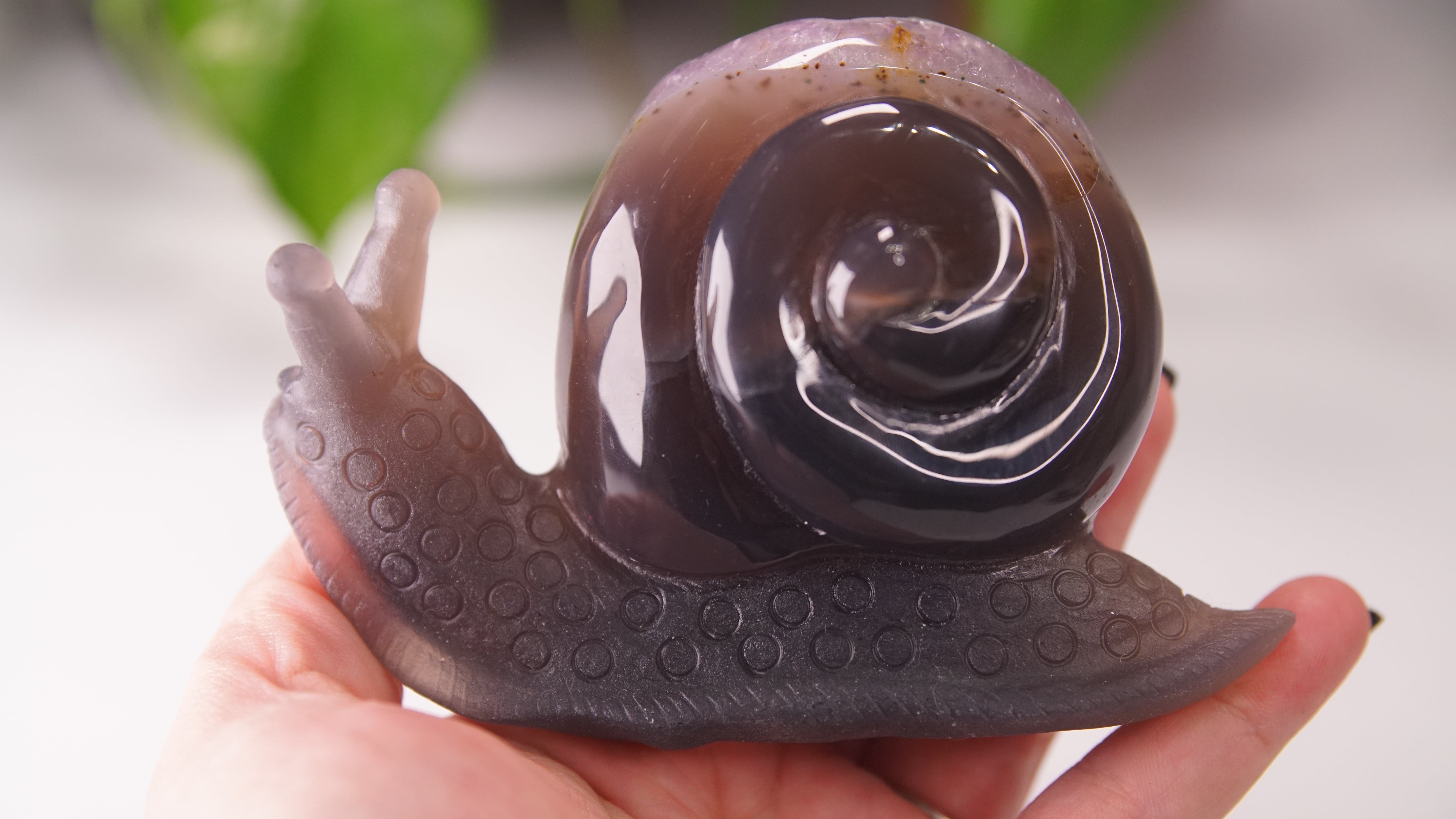 Gorgeous Agate Amethyst Boutique Snail Carving | Crystal Carving Statement Piece