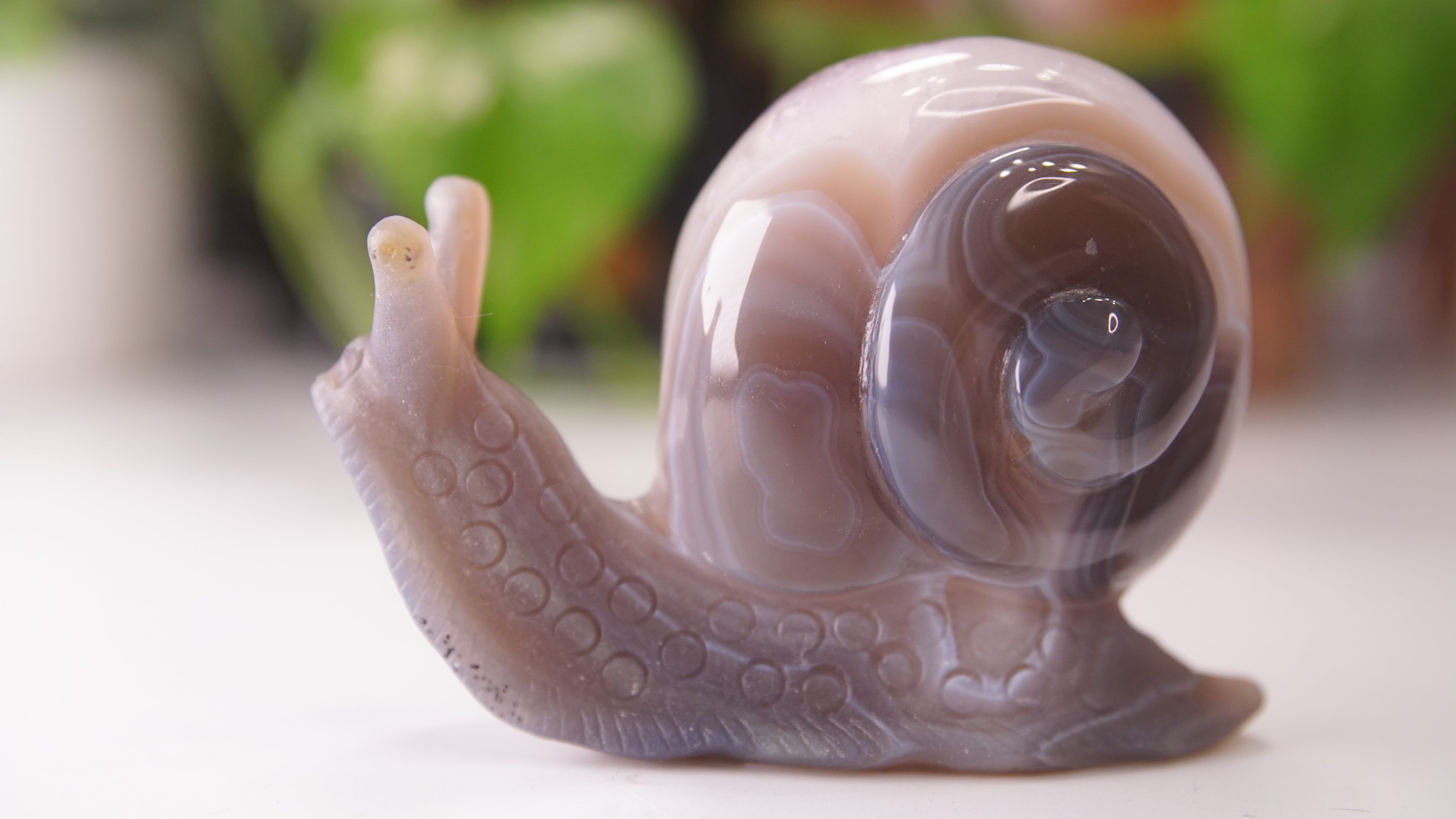 Gorgeous Agate Amethyst Boutique Snail Carving | Crystal Carving Statement Piece