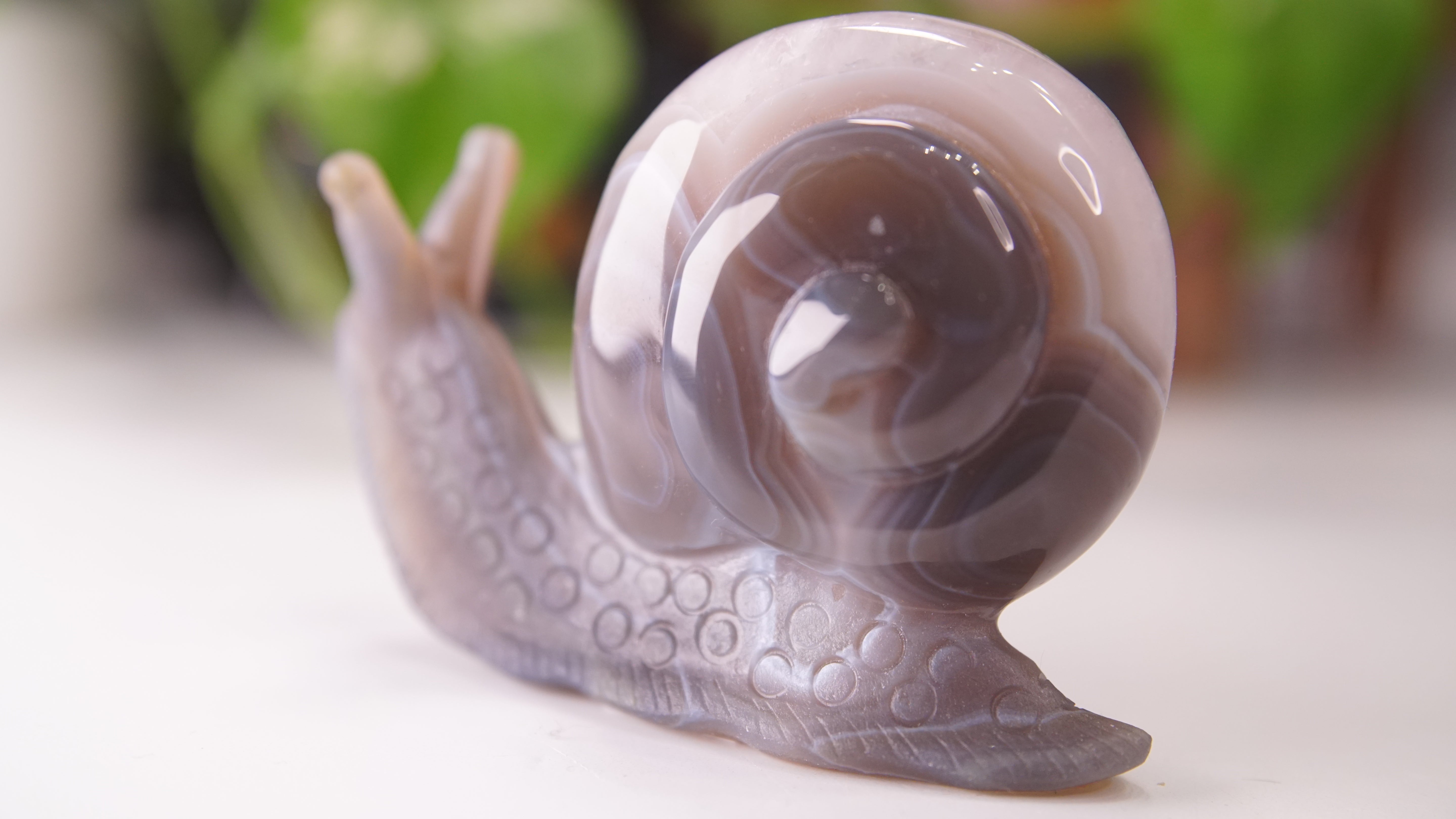 Gorgeous Agate Amethyst Boutique Snail Carving | Crystal Carving Statement Piece