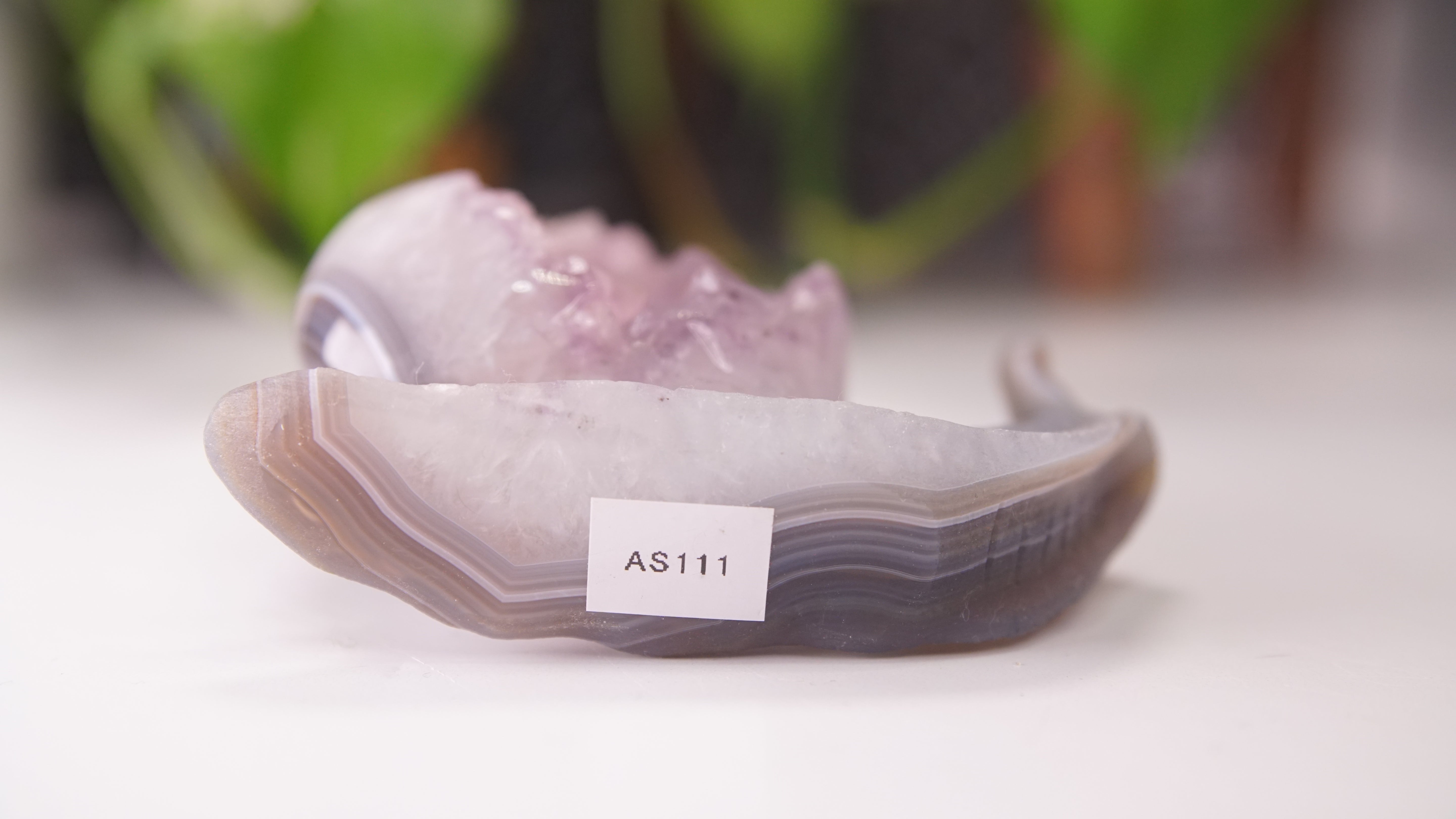 Gorgeous Agate Amethyst Boutique Snail Carving | Crystal Carving Statement Piece