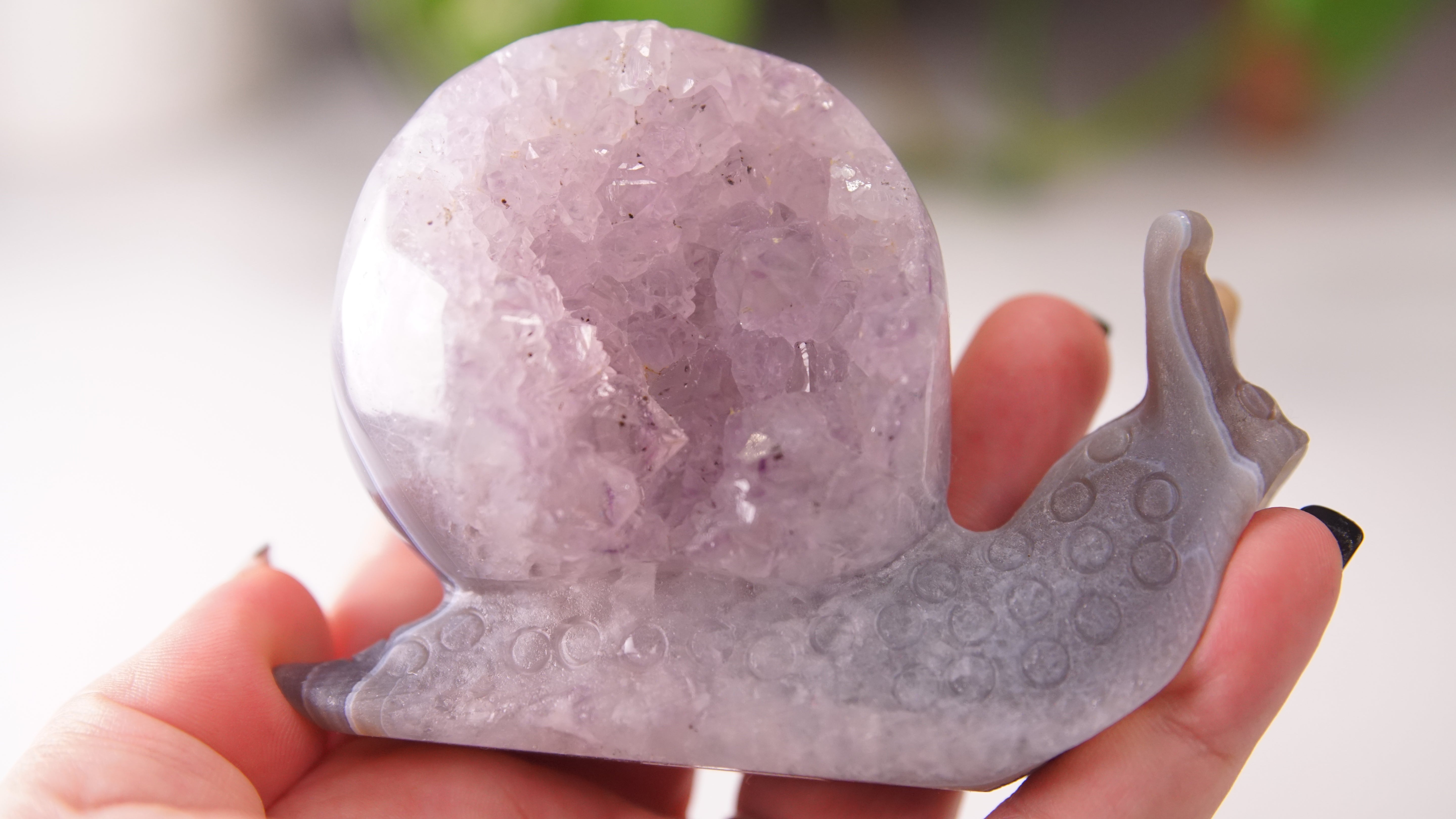 Gorgeous Agate Amethyst Boutique Snail Carving | Crystal Carving Statement Piece