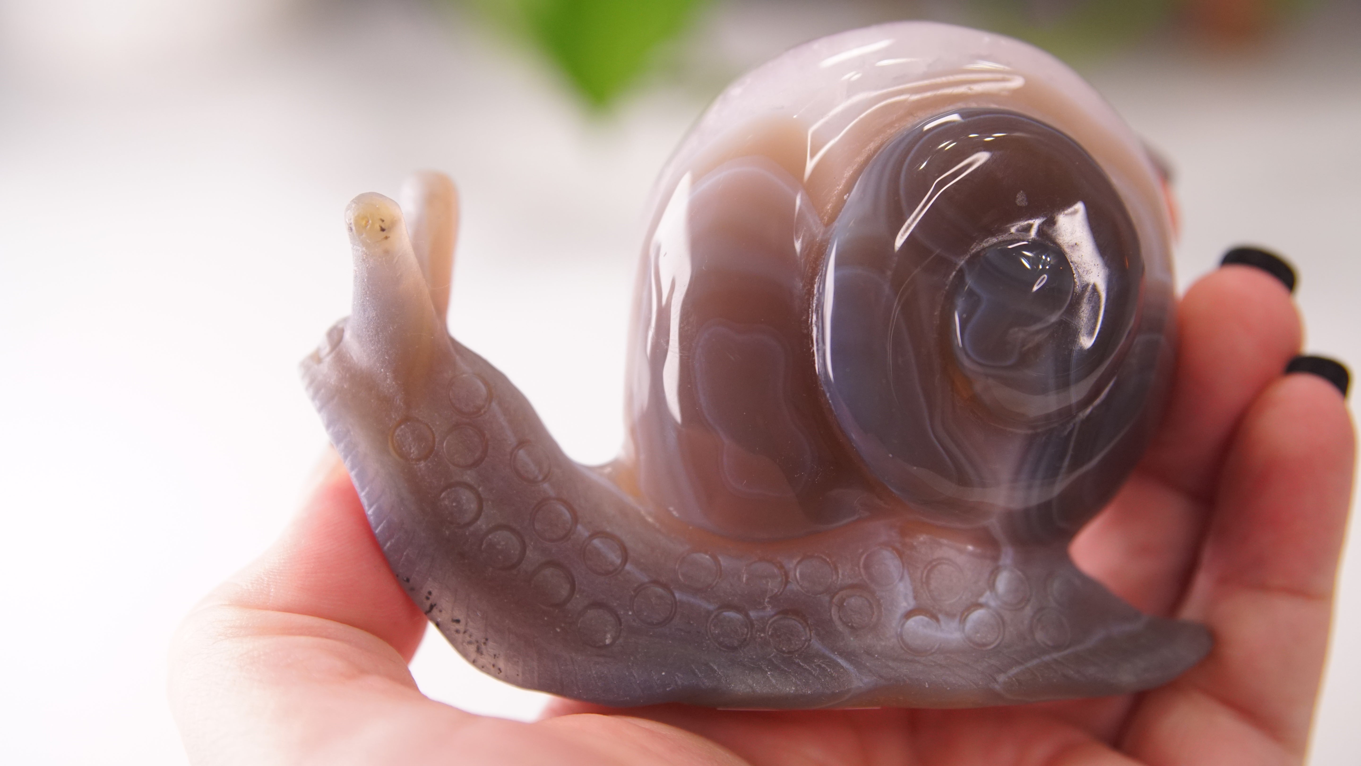 Gorgeous Agate Amethyst Boutique Snail Carving | Crystal Carving Statement Piece