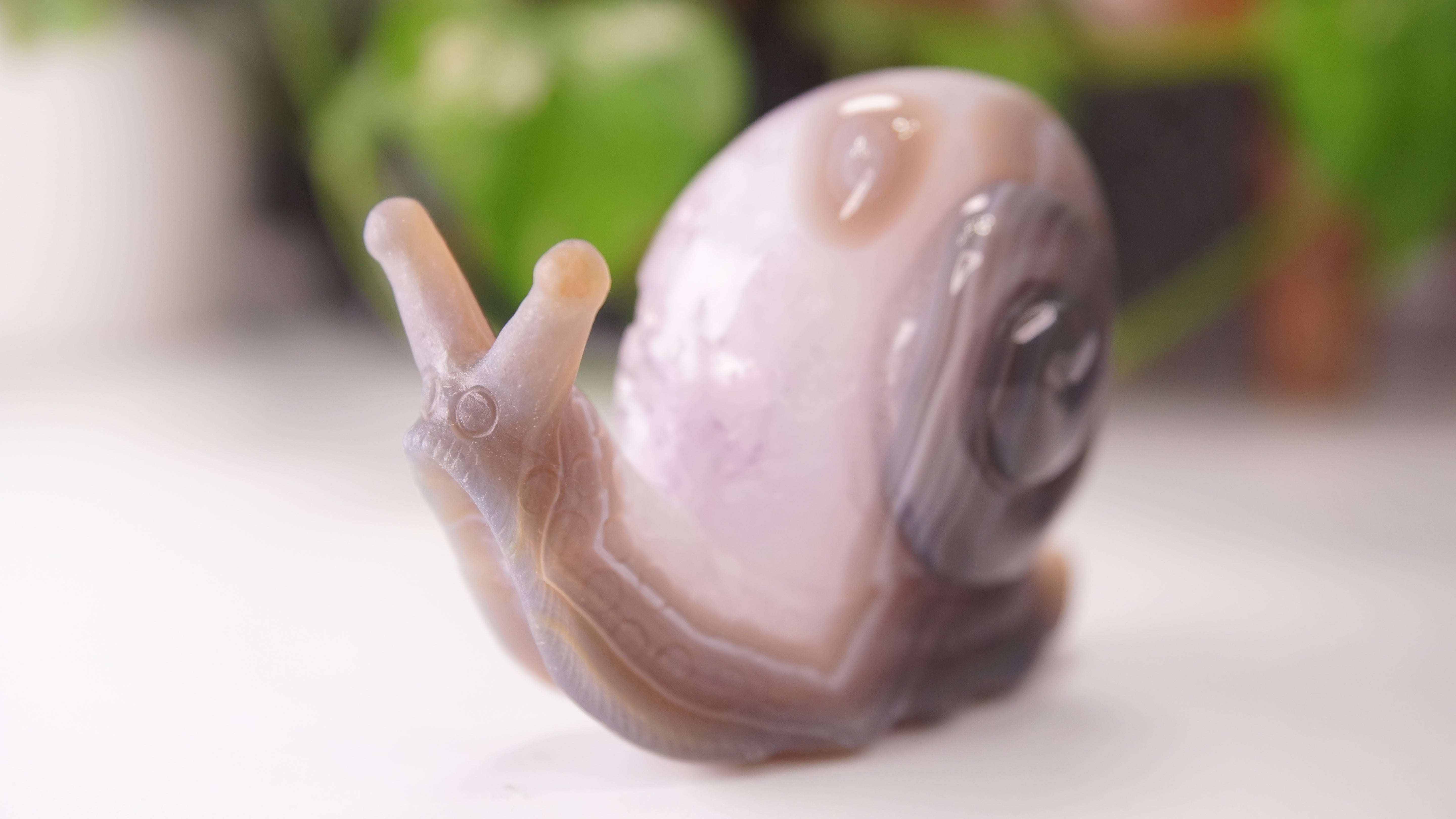 Gorgeous Agate Amethyst Boutique Snail Carving | Crystal Carving Statement Piece